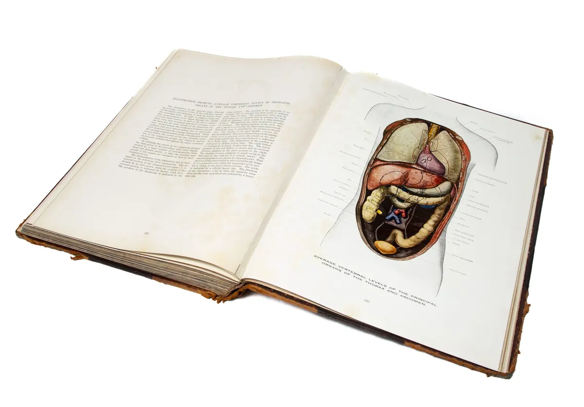 Archivo Histórico de la Biblioteca de la Facultad de Medicina