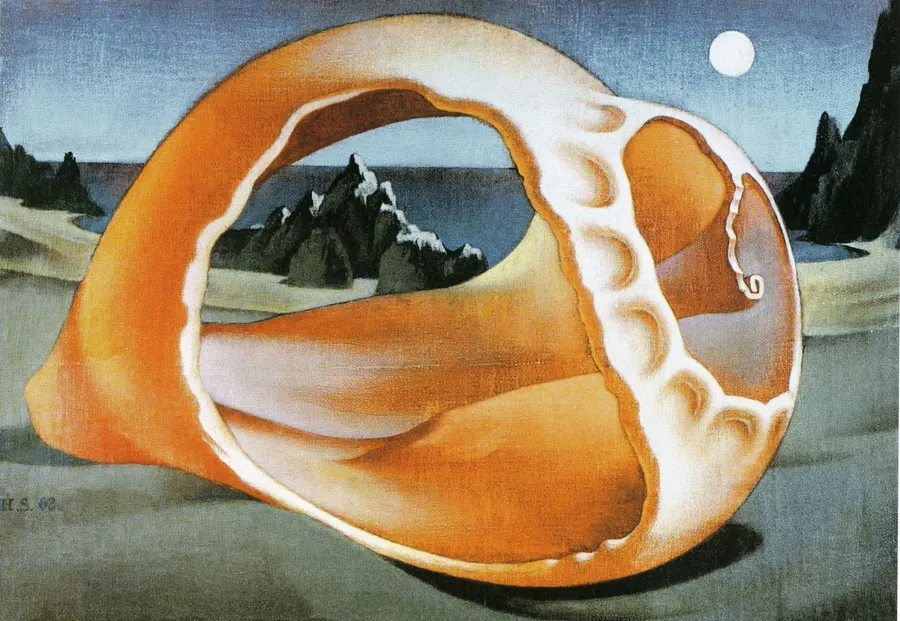 Fondo Hans Soyka