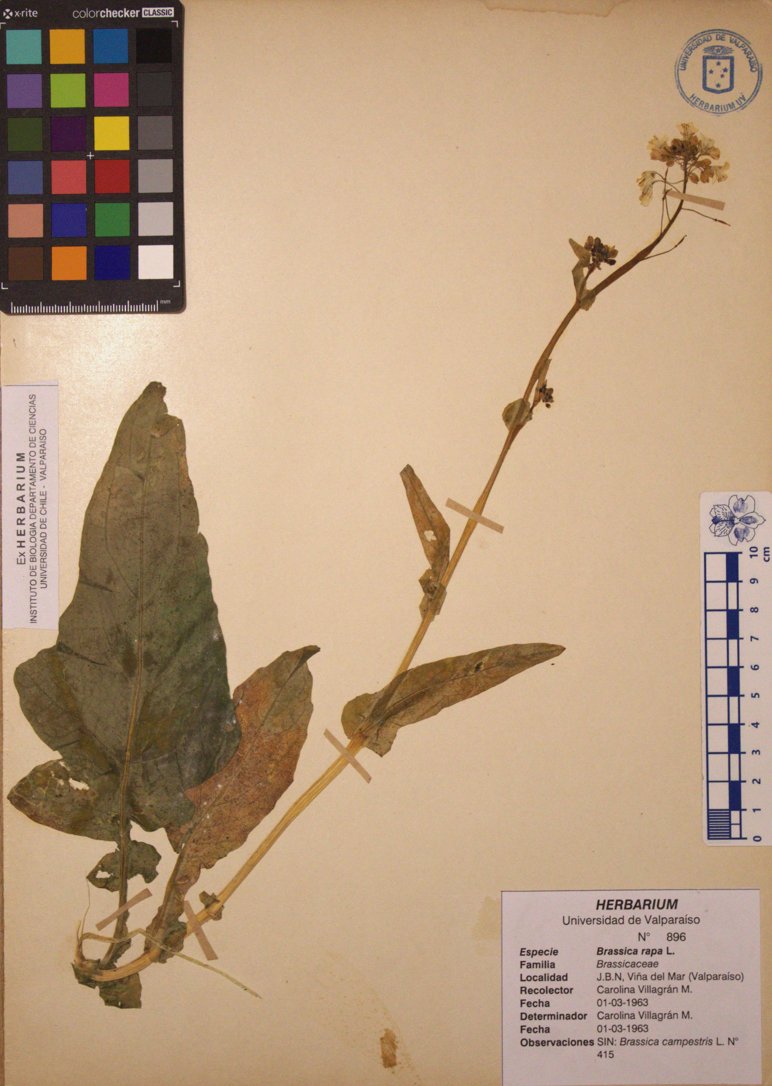 ANG-0896.jpg