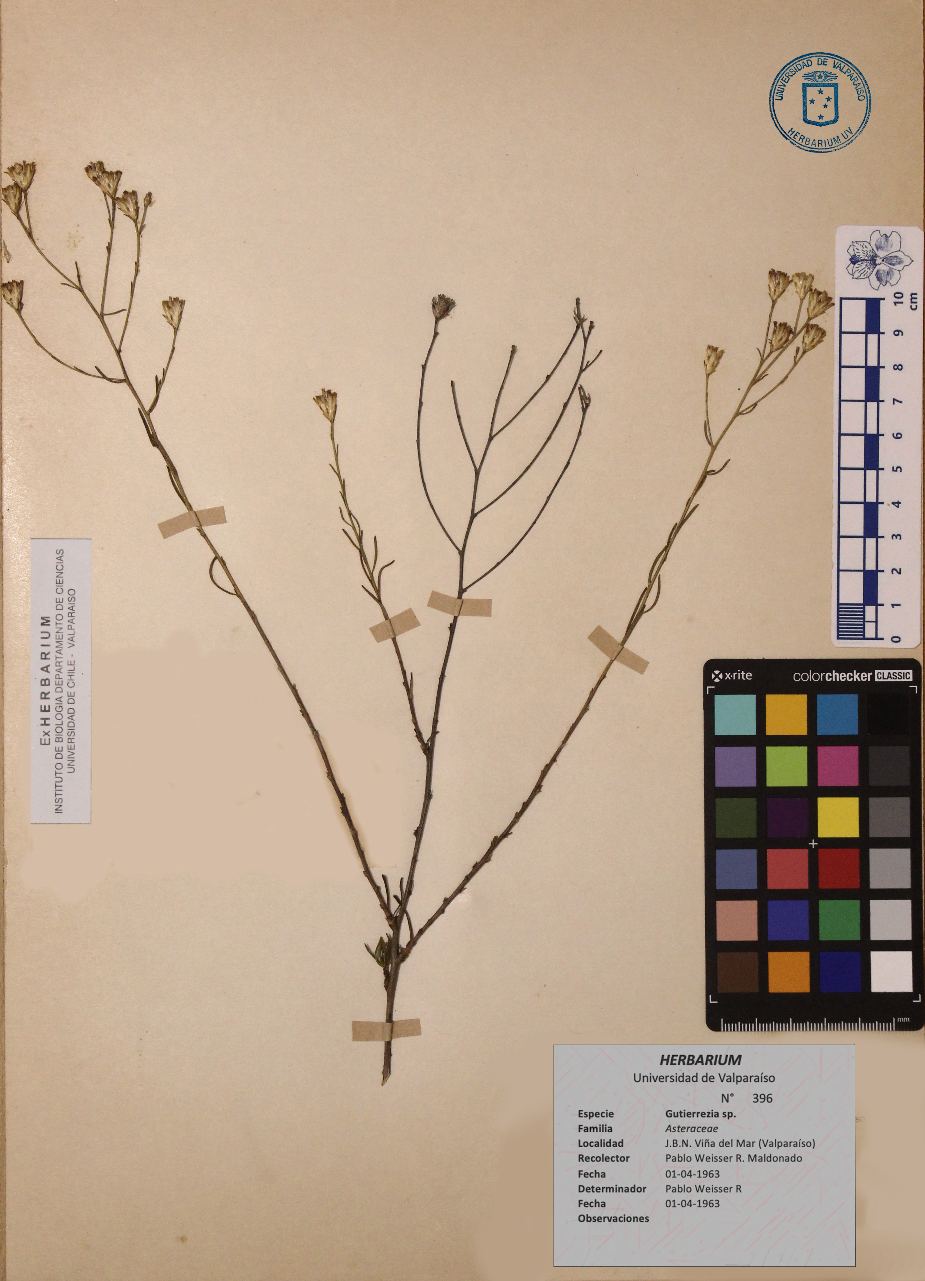 ANG-0396.jpg