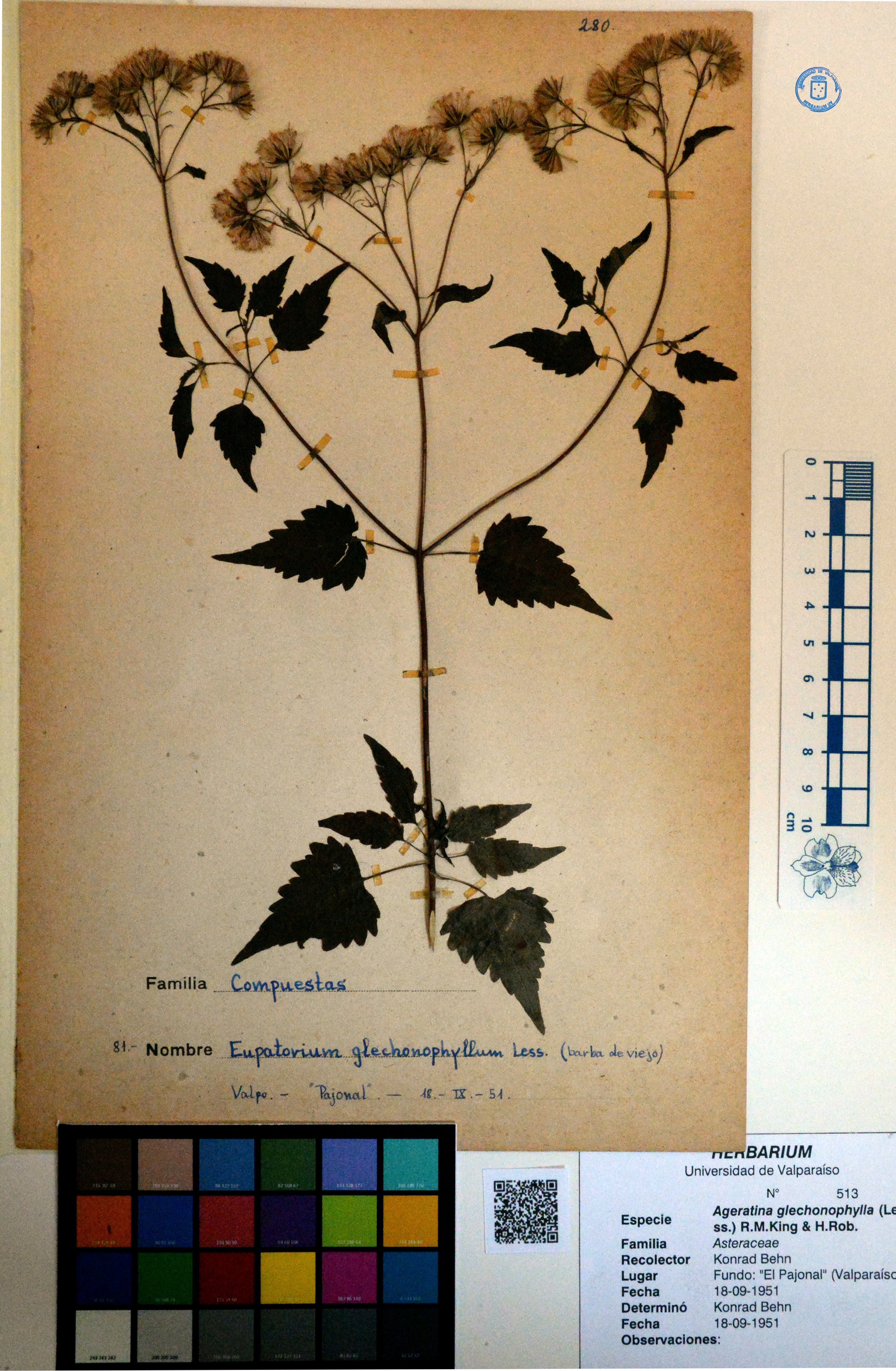 ANG-0507.jpg