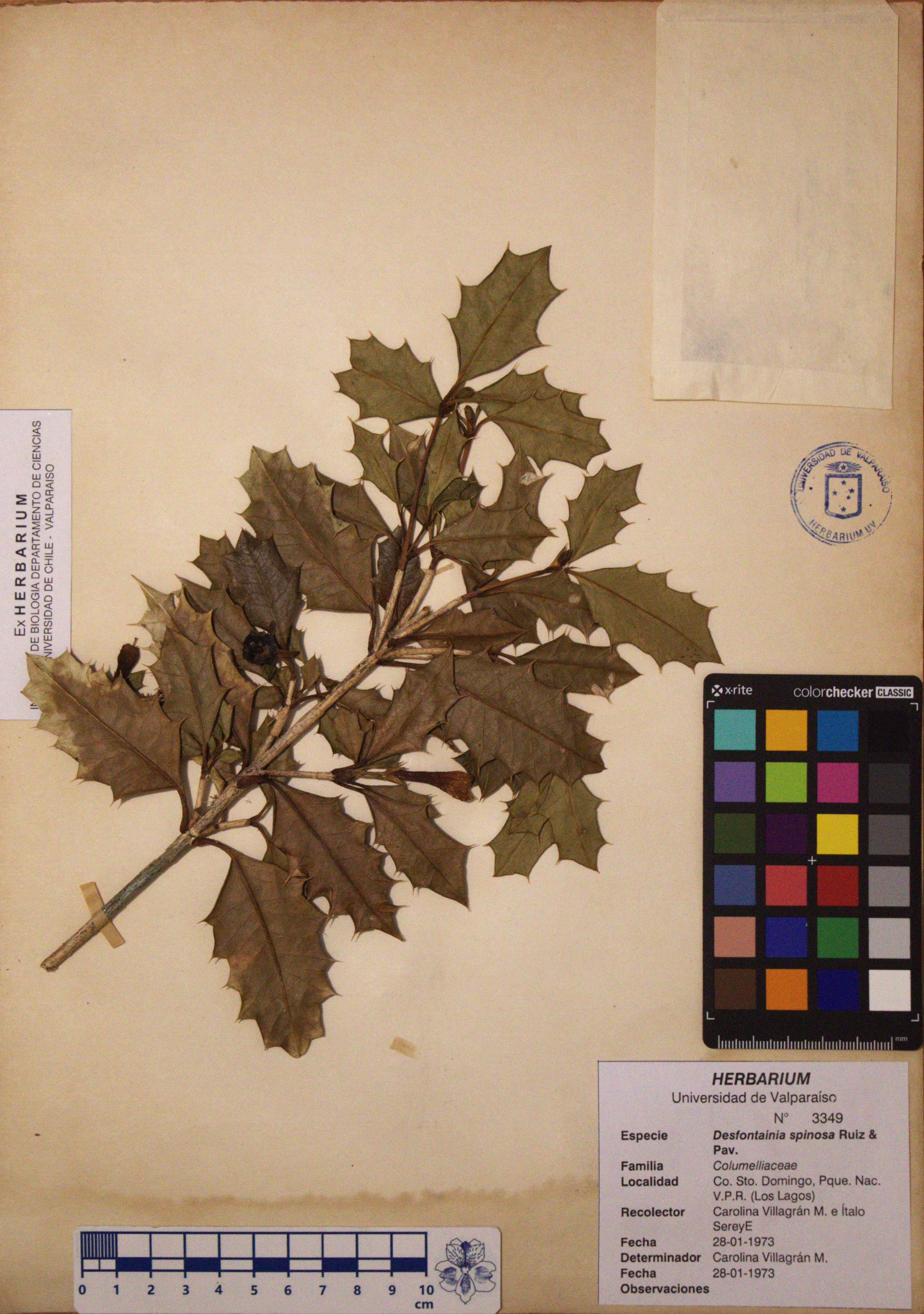 ANG-3349.jpg