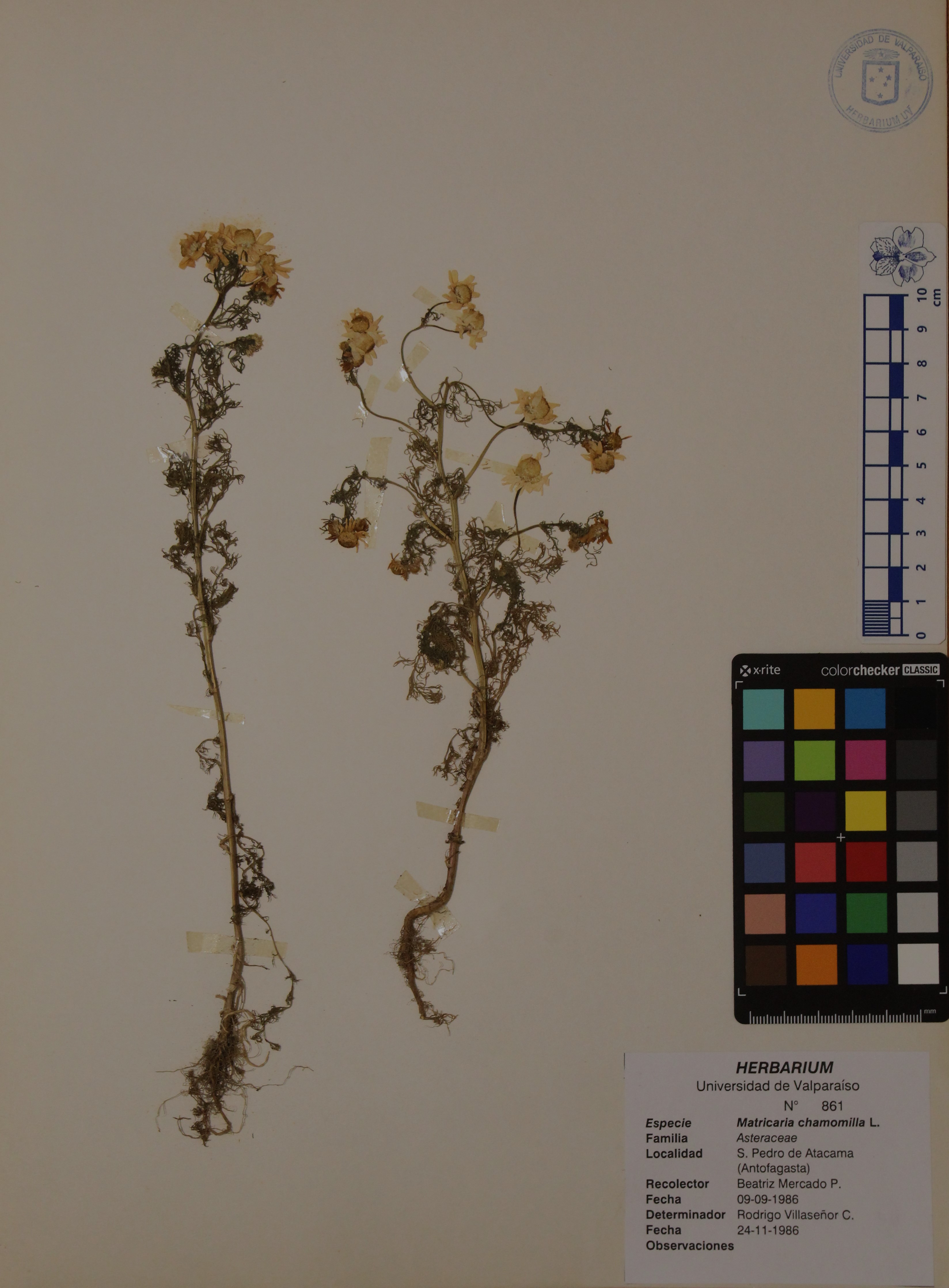 ANG-0861.jpg