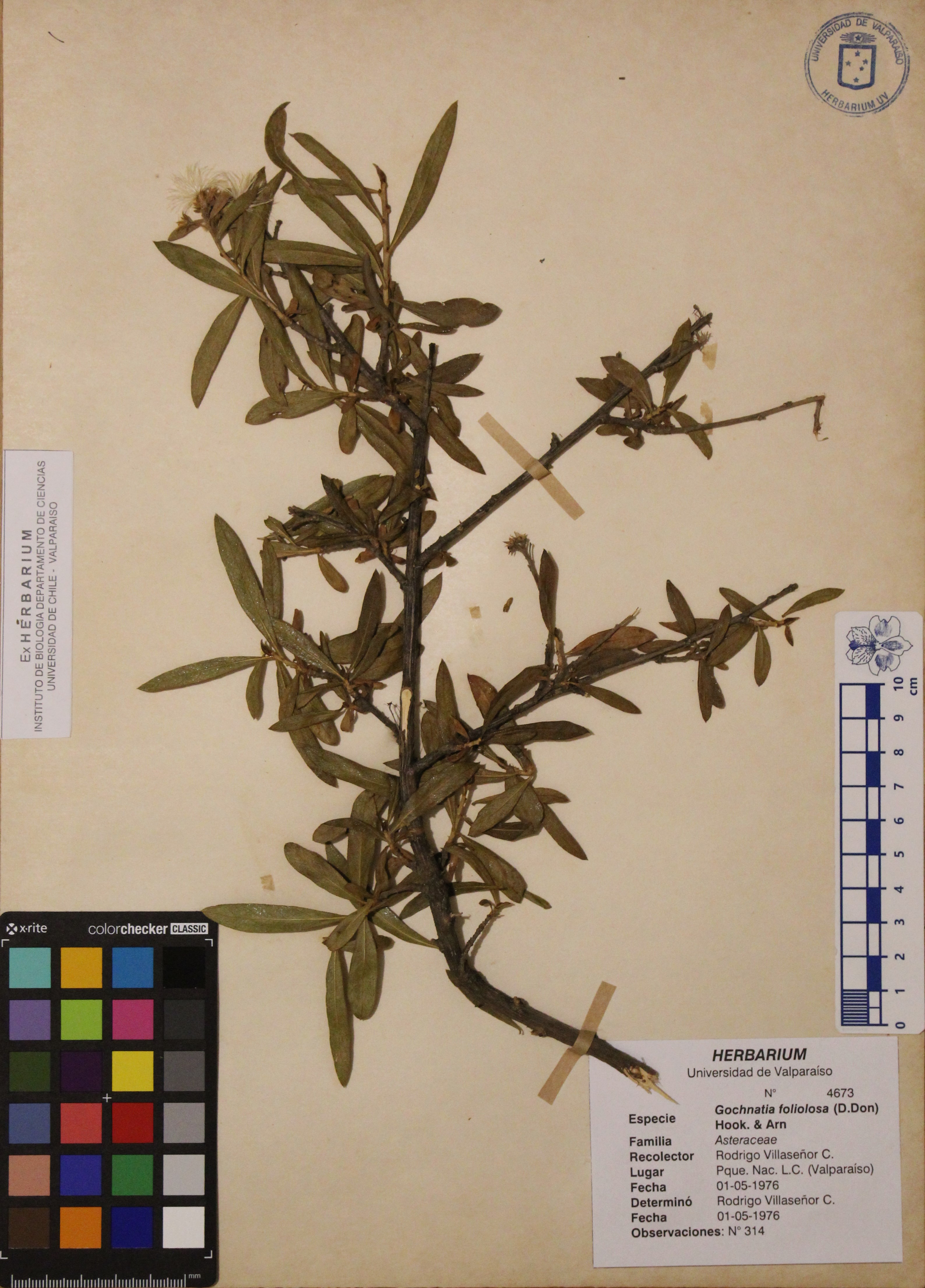 ANG-4673.jpg