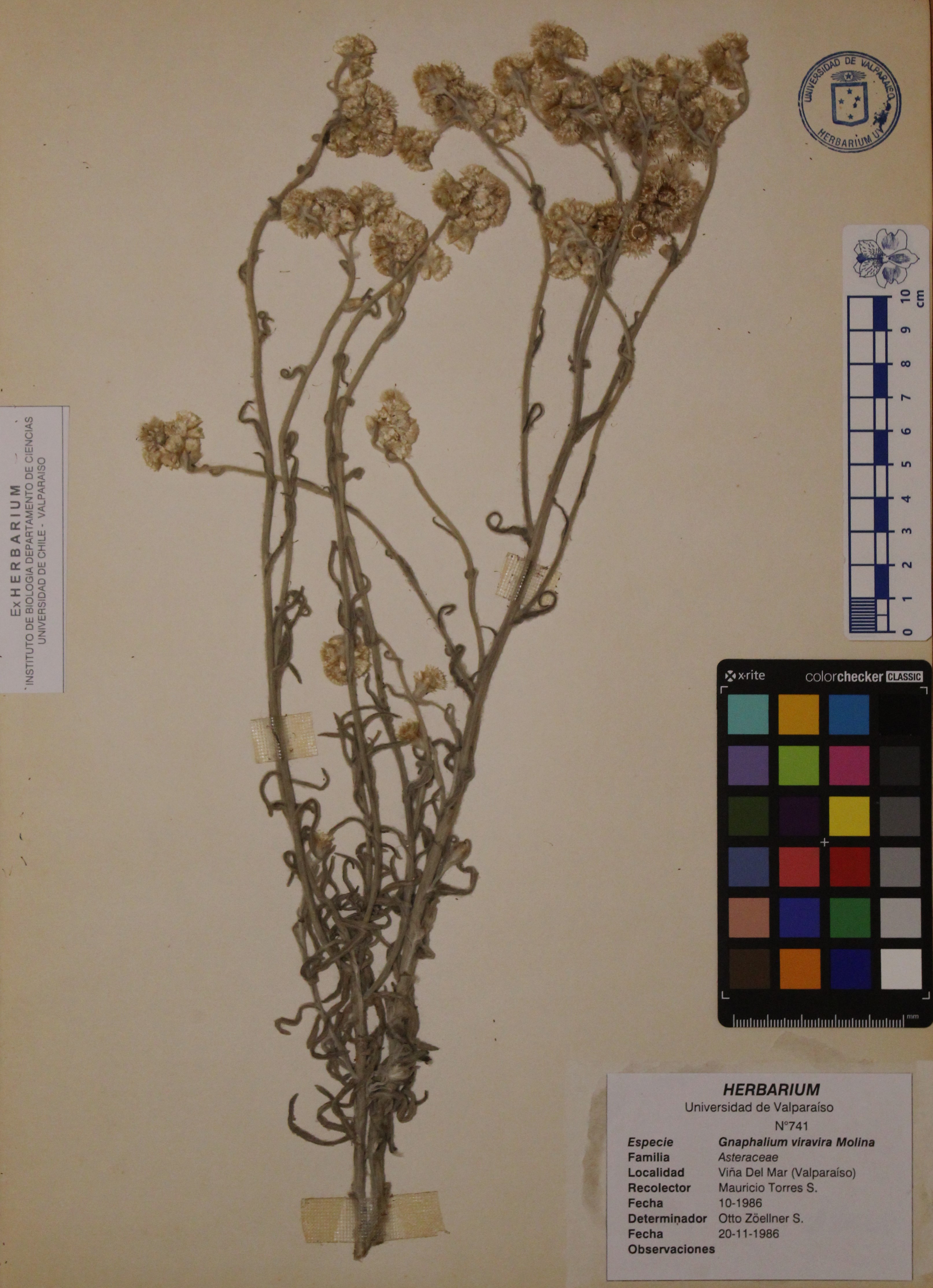 ANG-0741.jpg