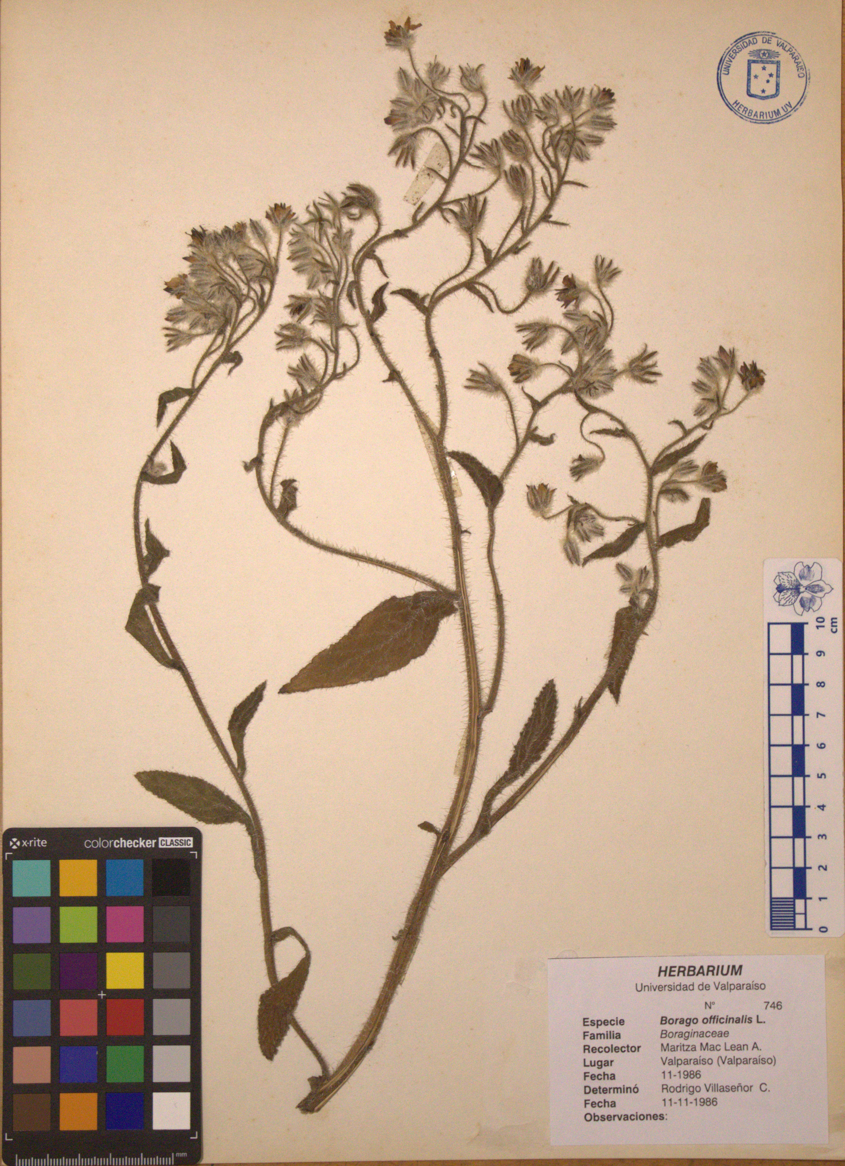 ANG-0746.jpg