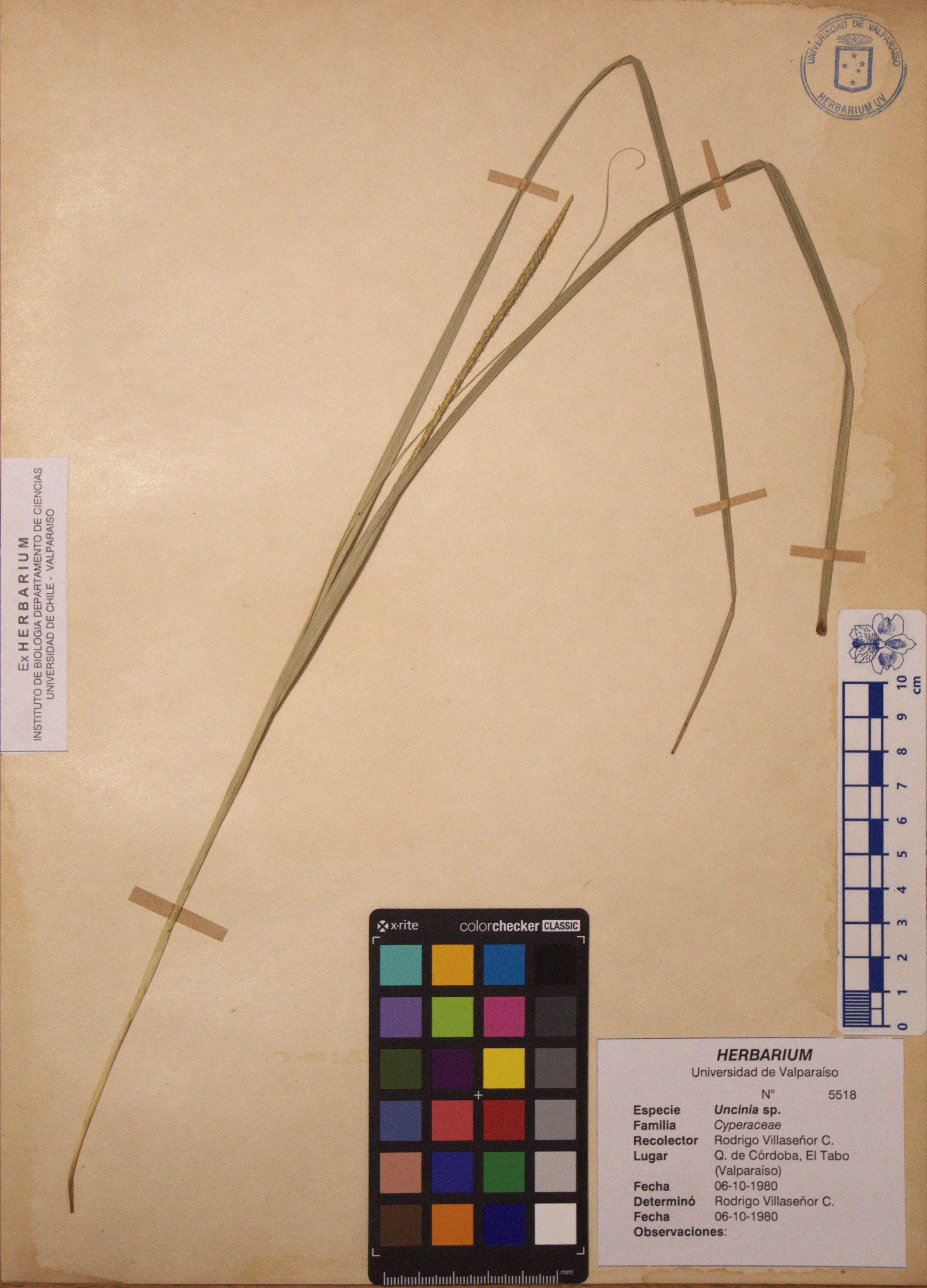 ANG-5518-d.jpg