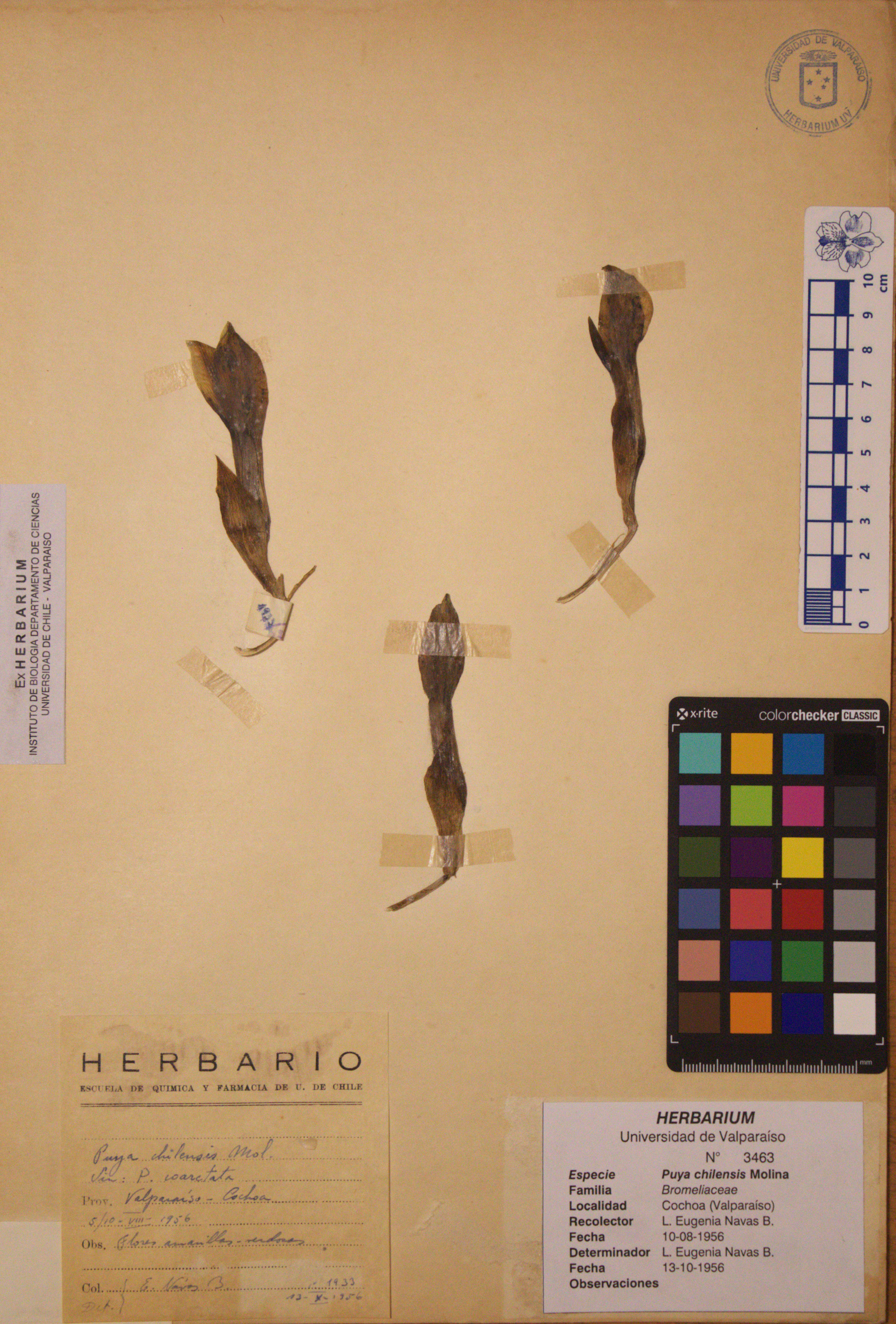 ANG-3463.jpg