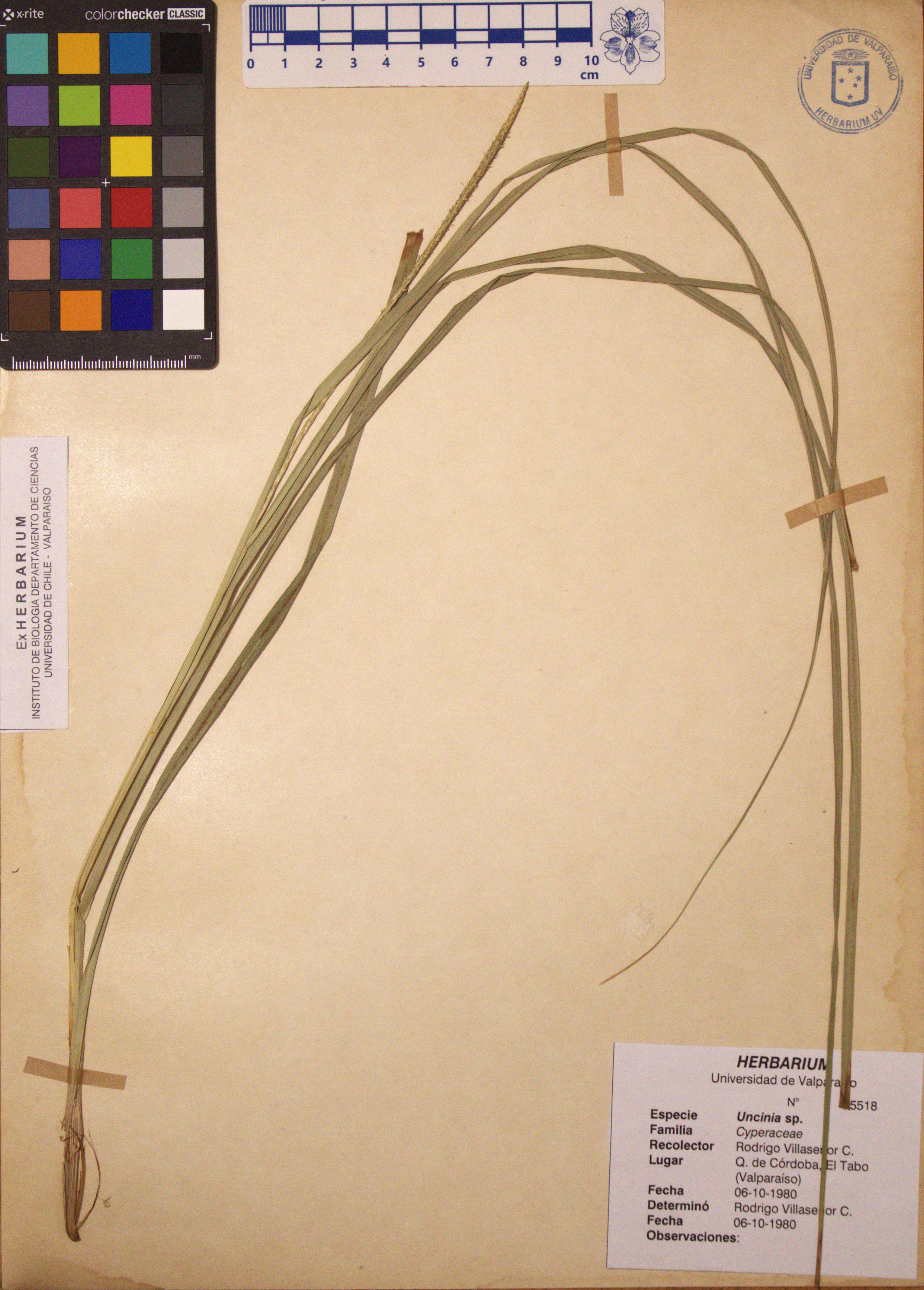ANG-5518.jpg