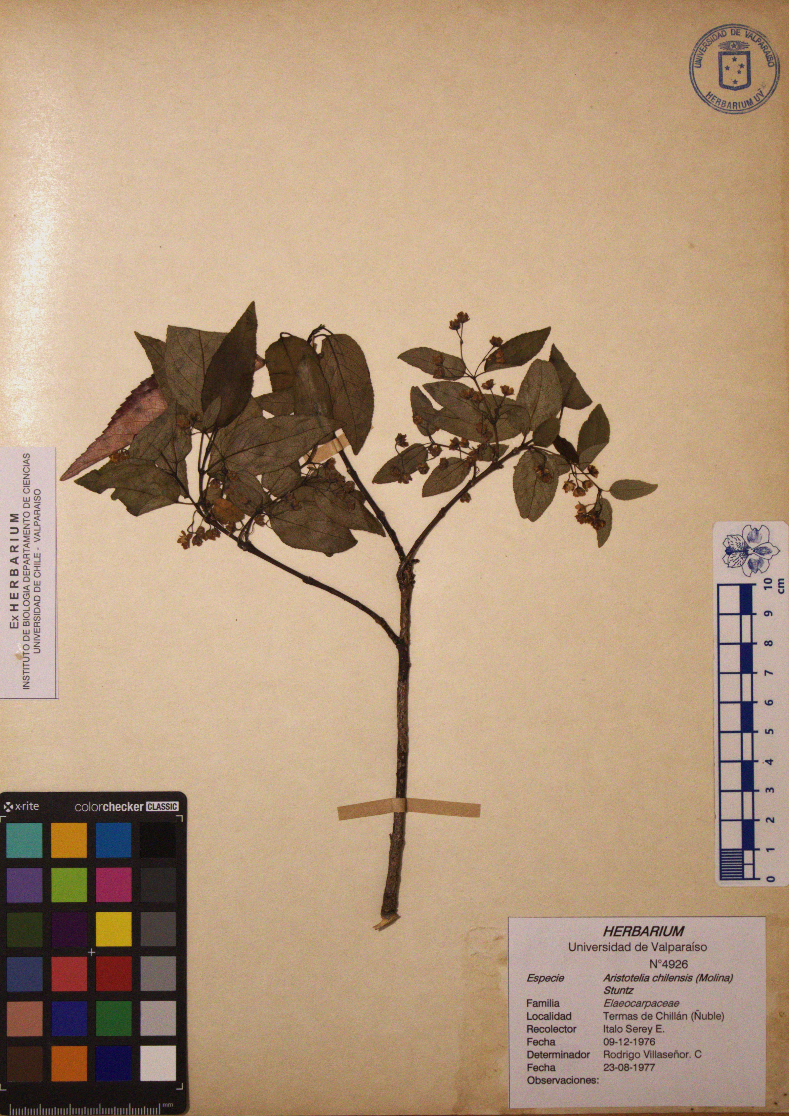 ANG-4926.jpg