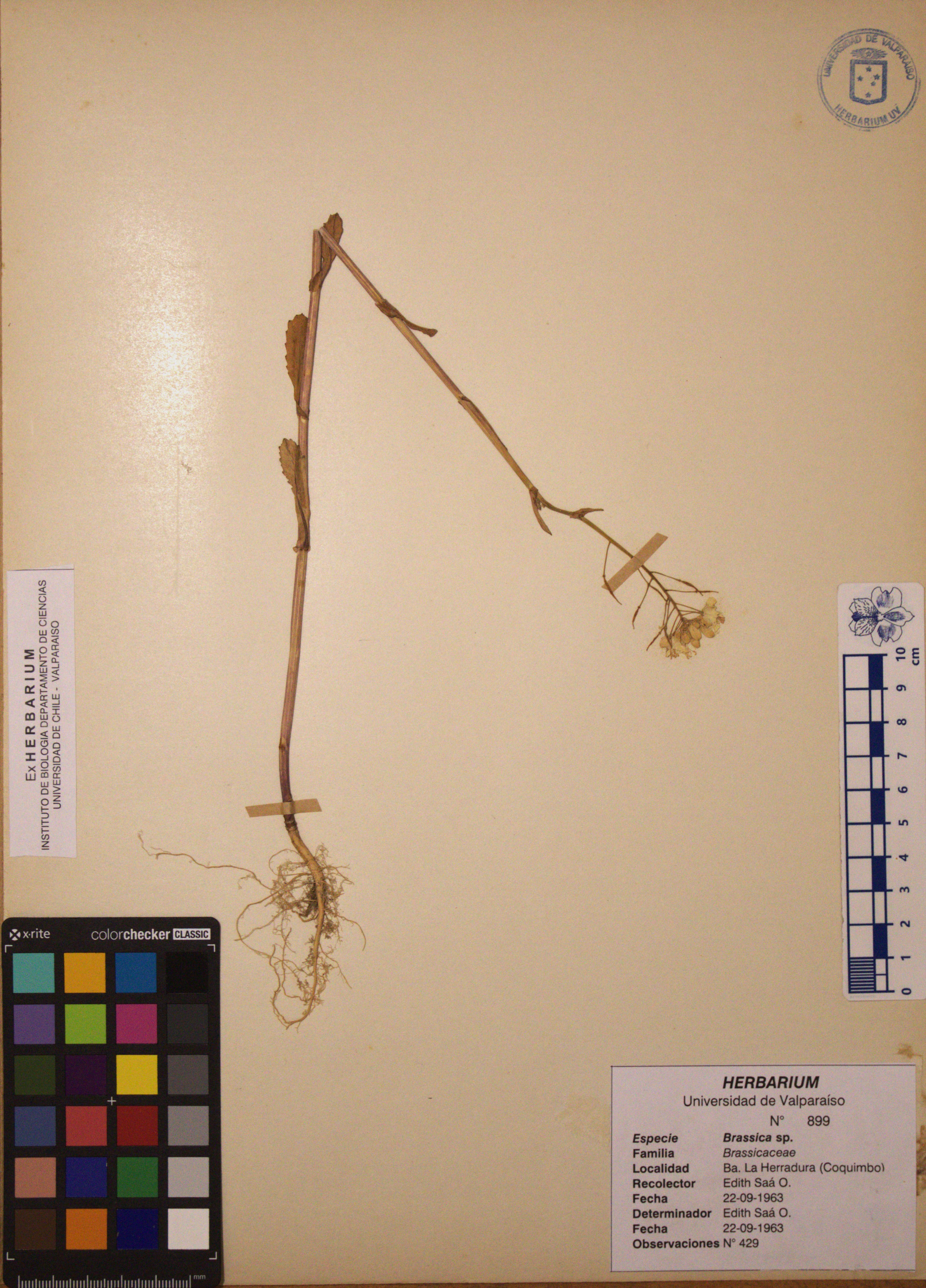 ANG-0899.jpg