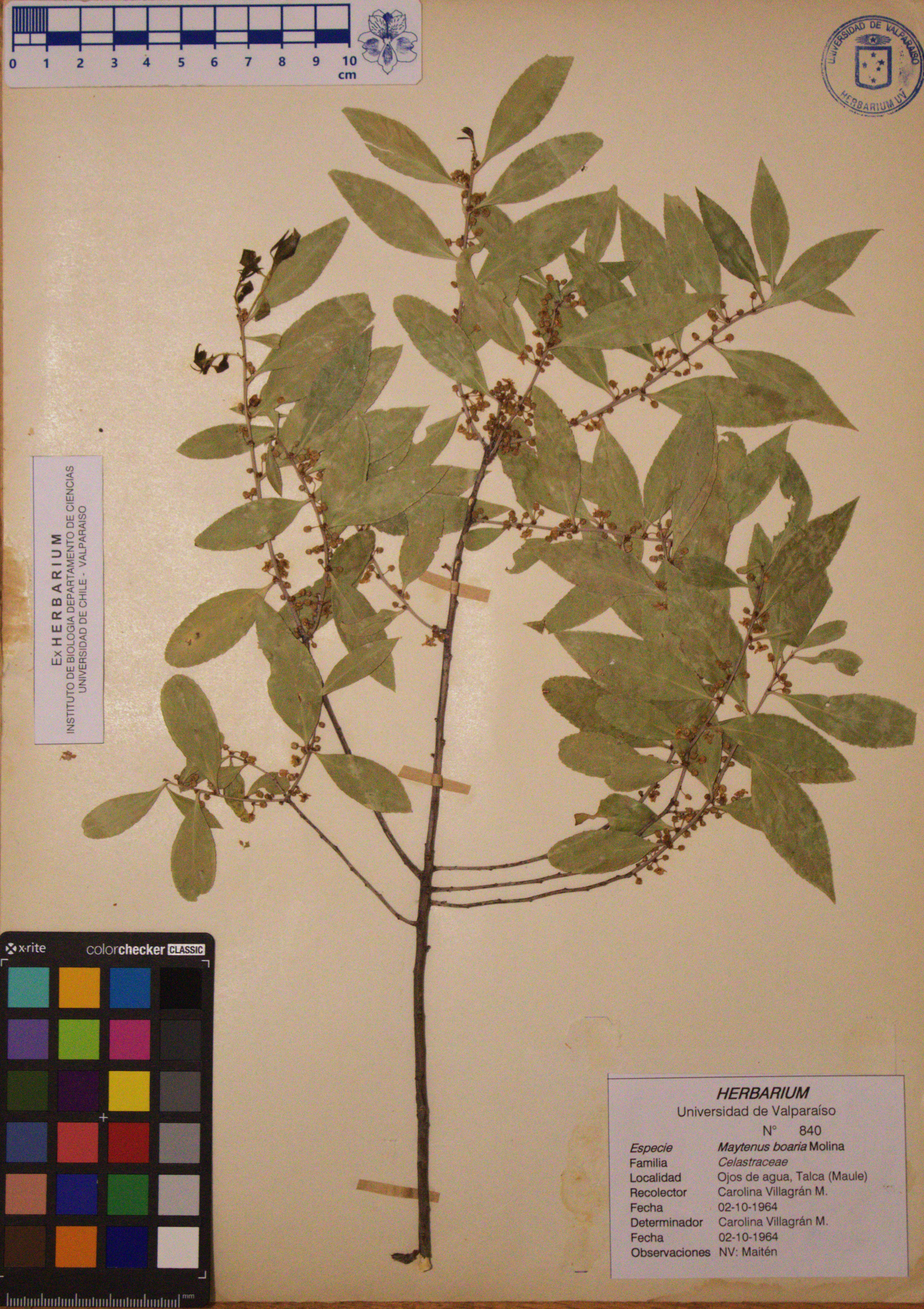 ANG-840.jpg