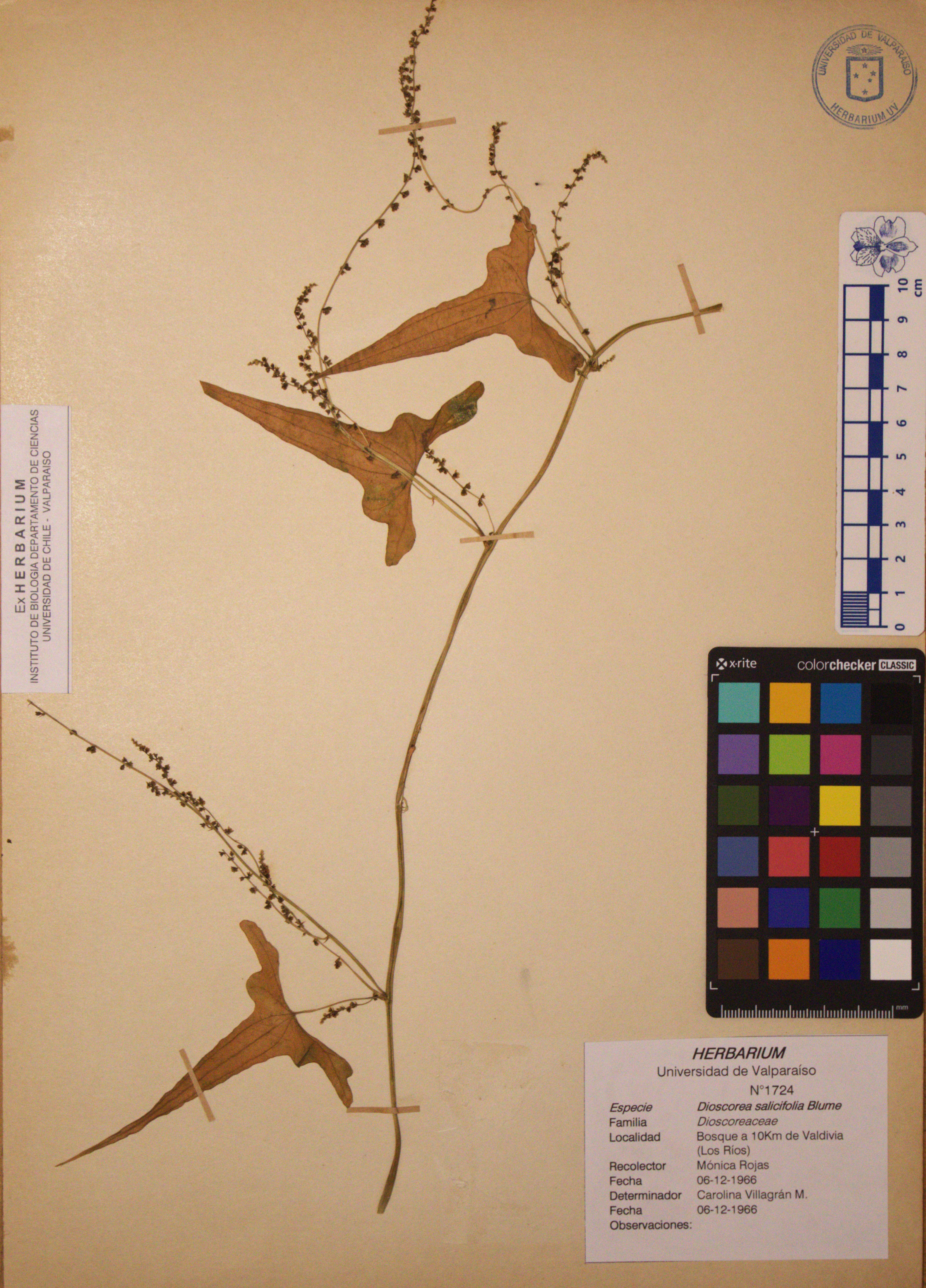 ANG-1724.jpg