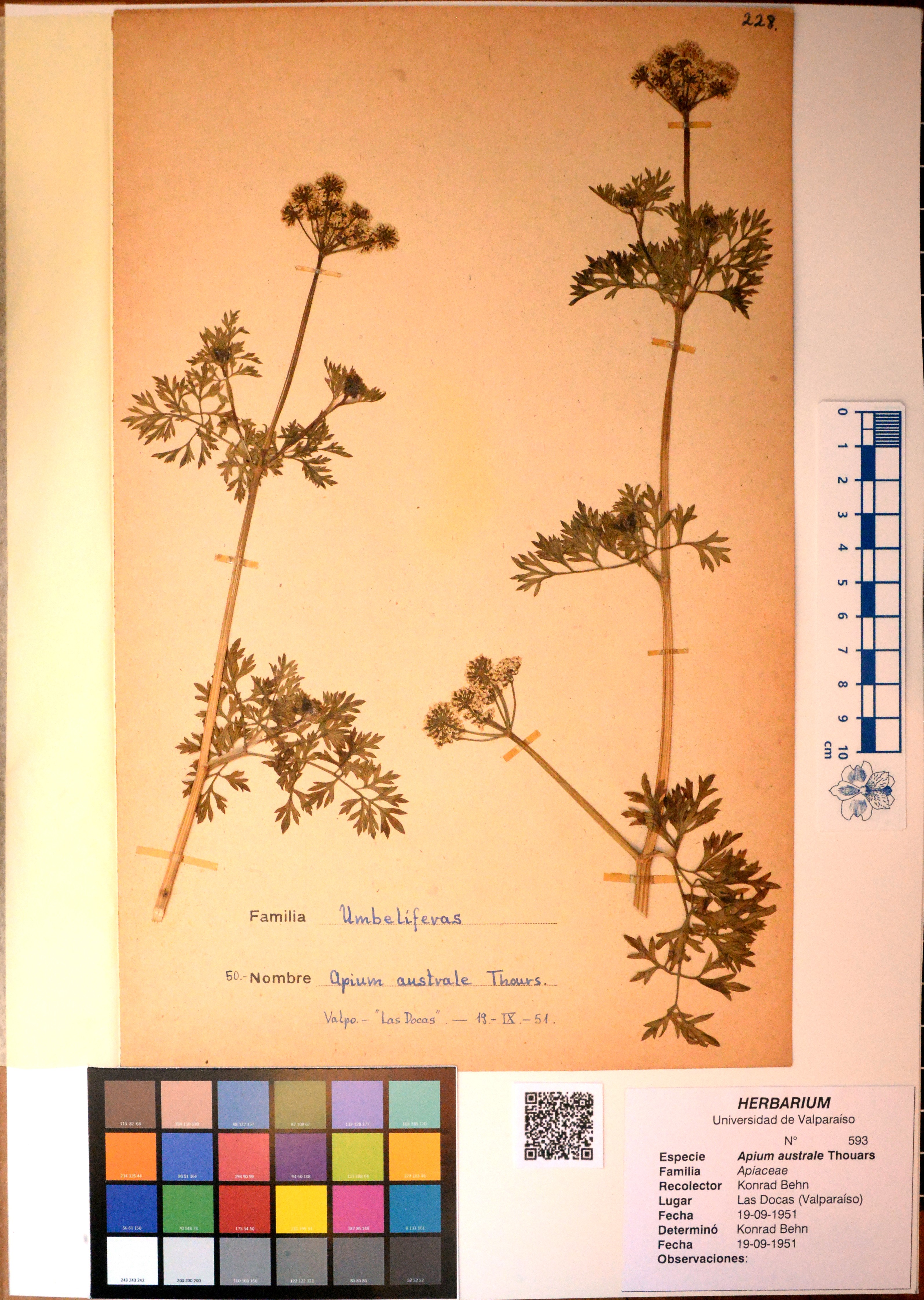 ANG-0593.jpg