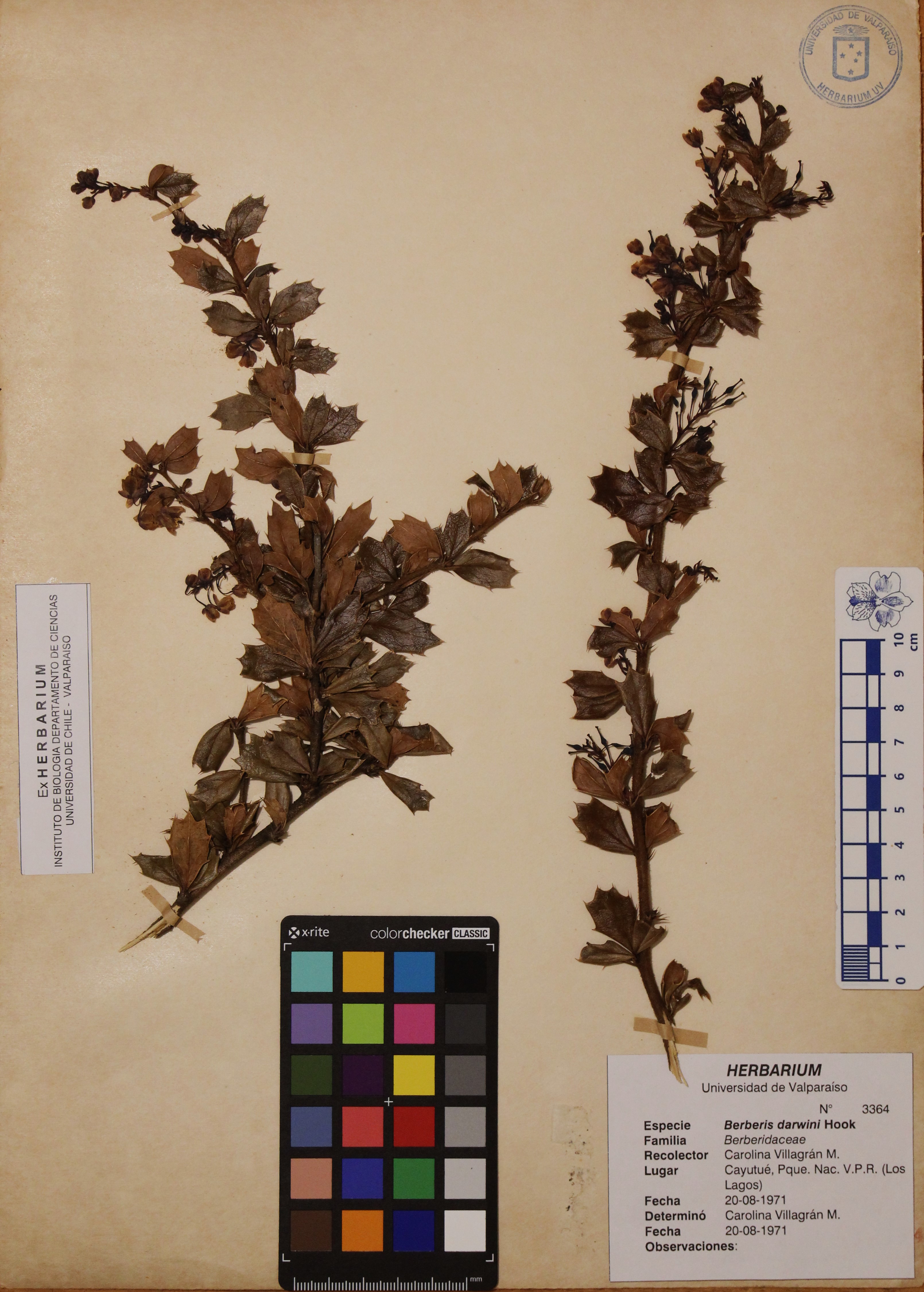 ANG-3364.jpg