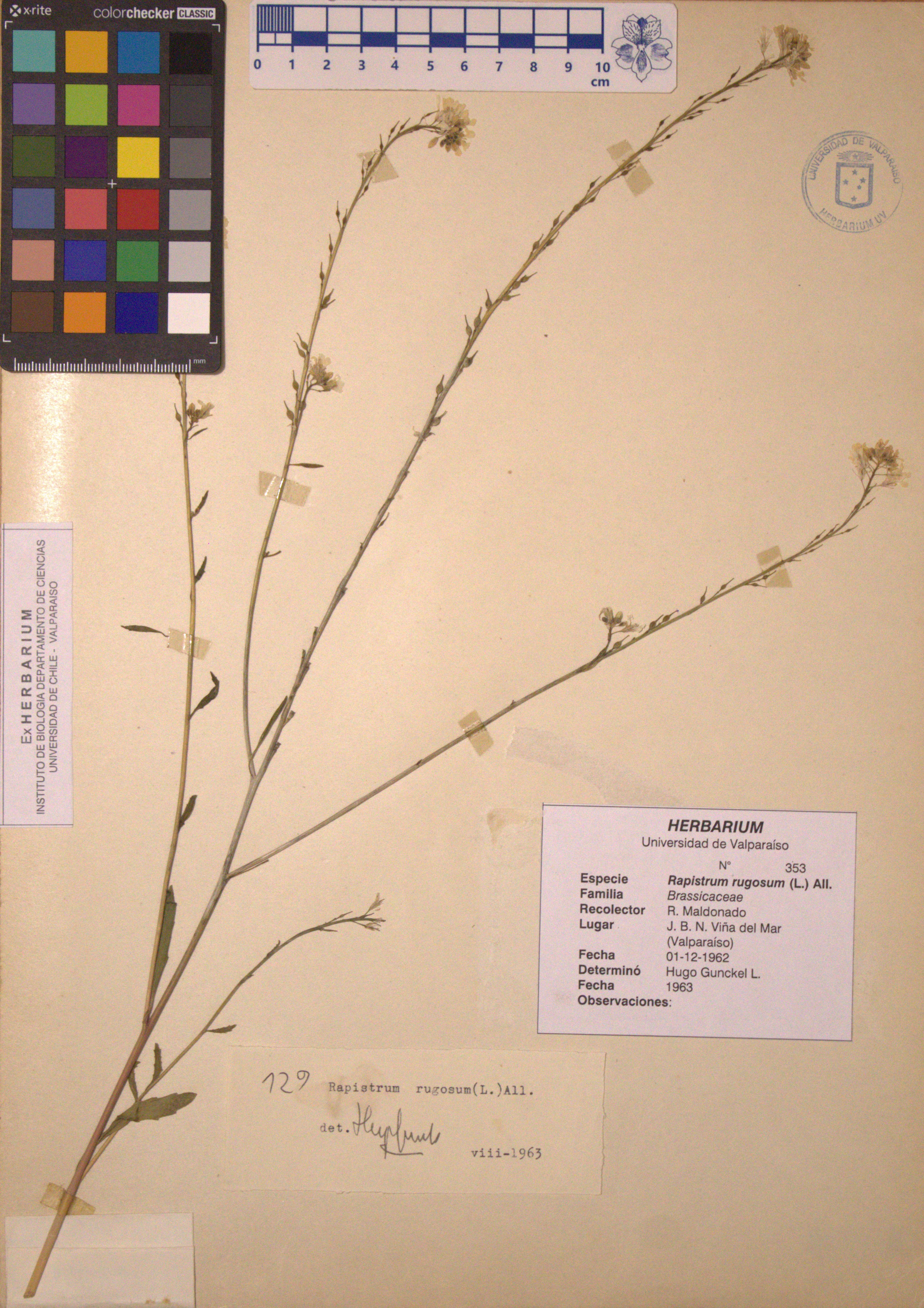 ANG-0353.jpg