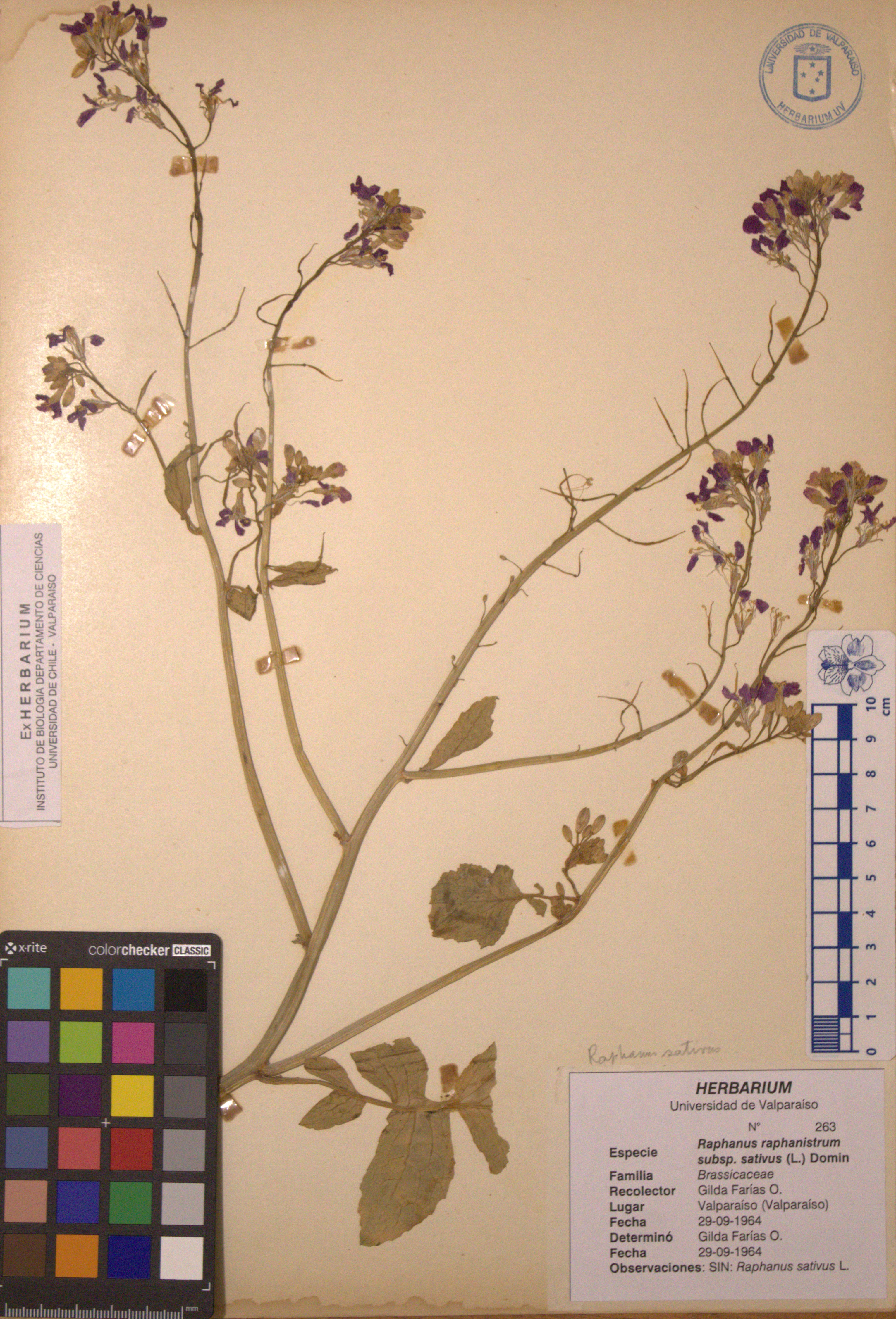 ANG-0263.jpg