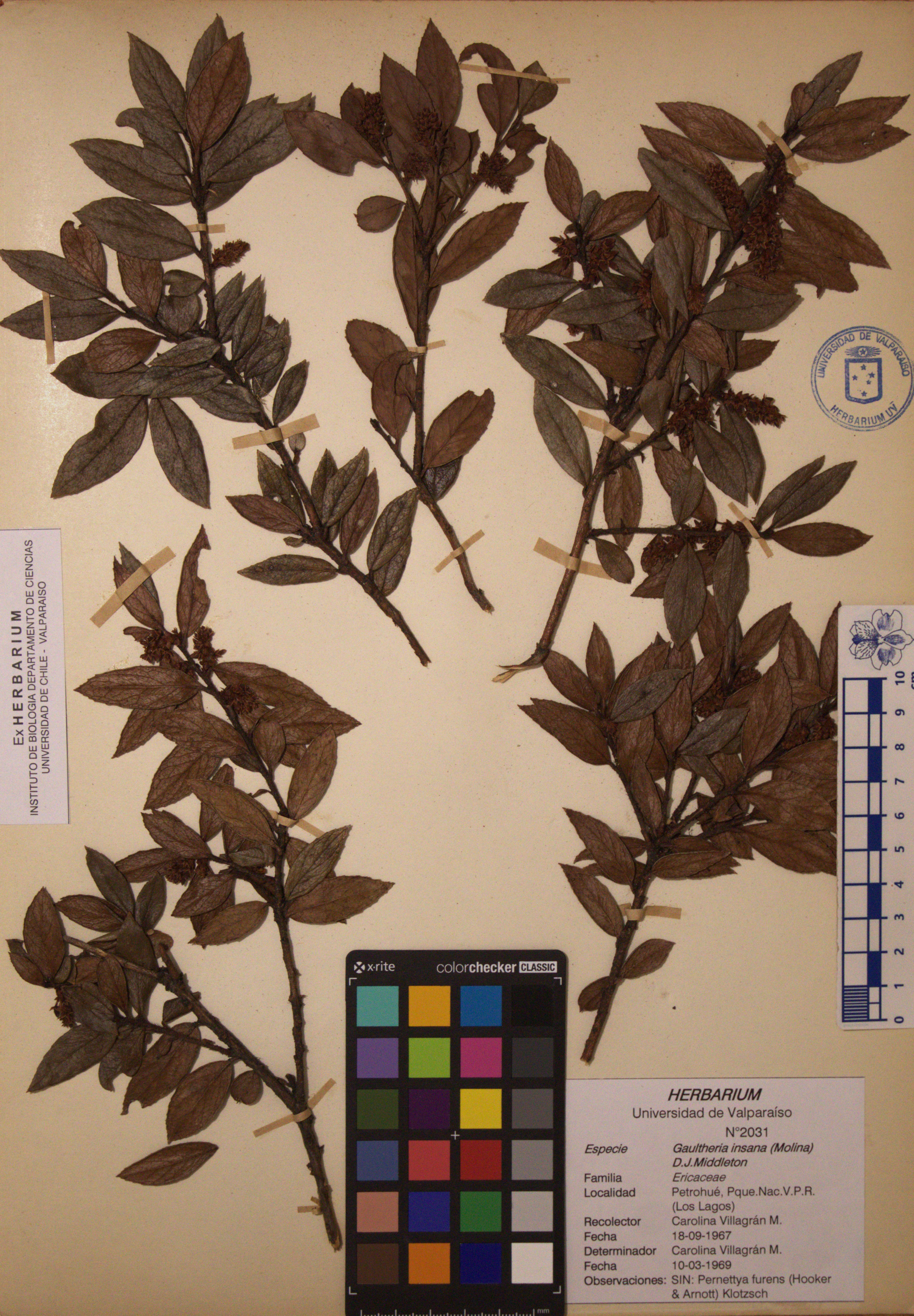 ANG-2031.jpg