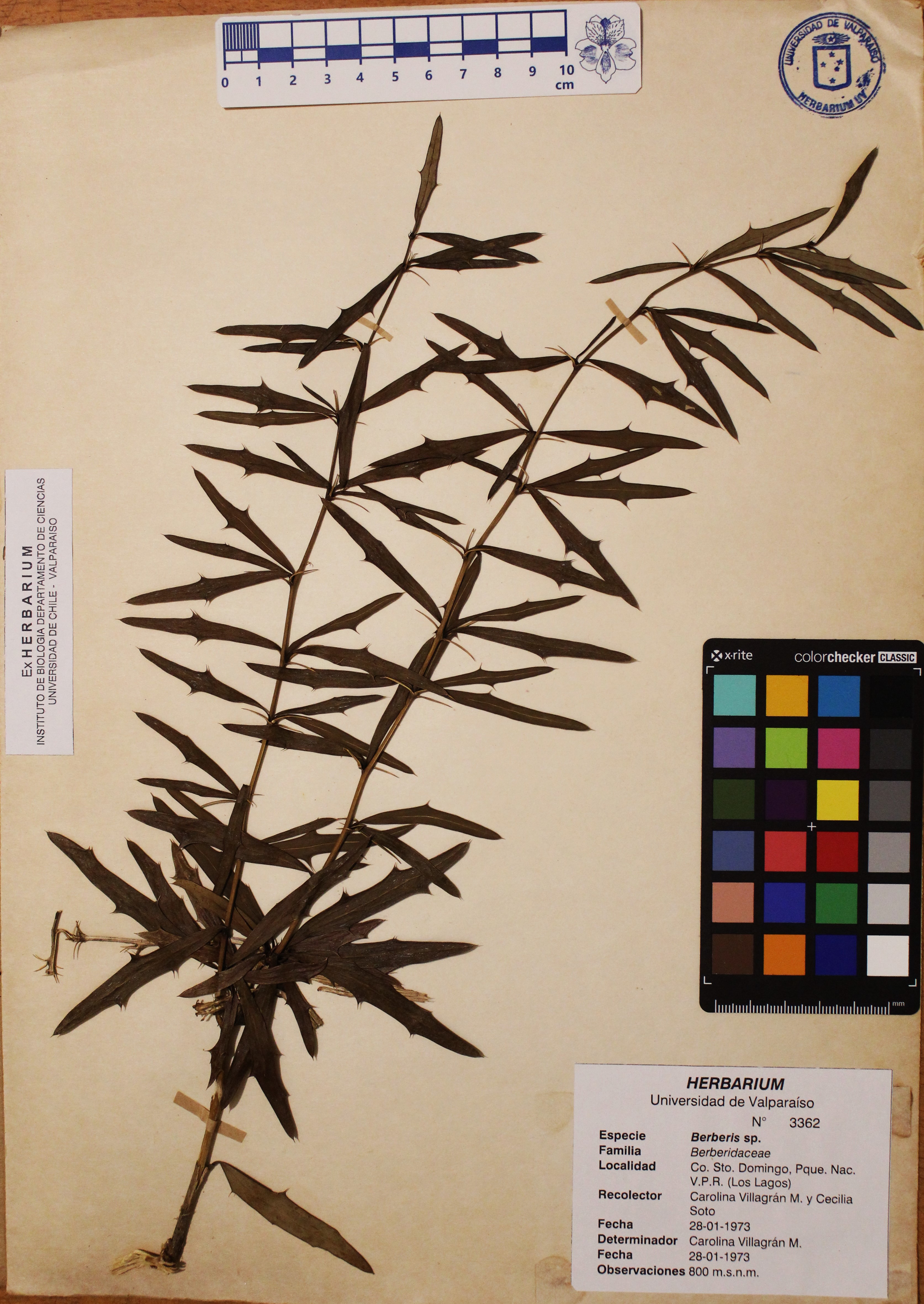 ANG-3362.jpg