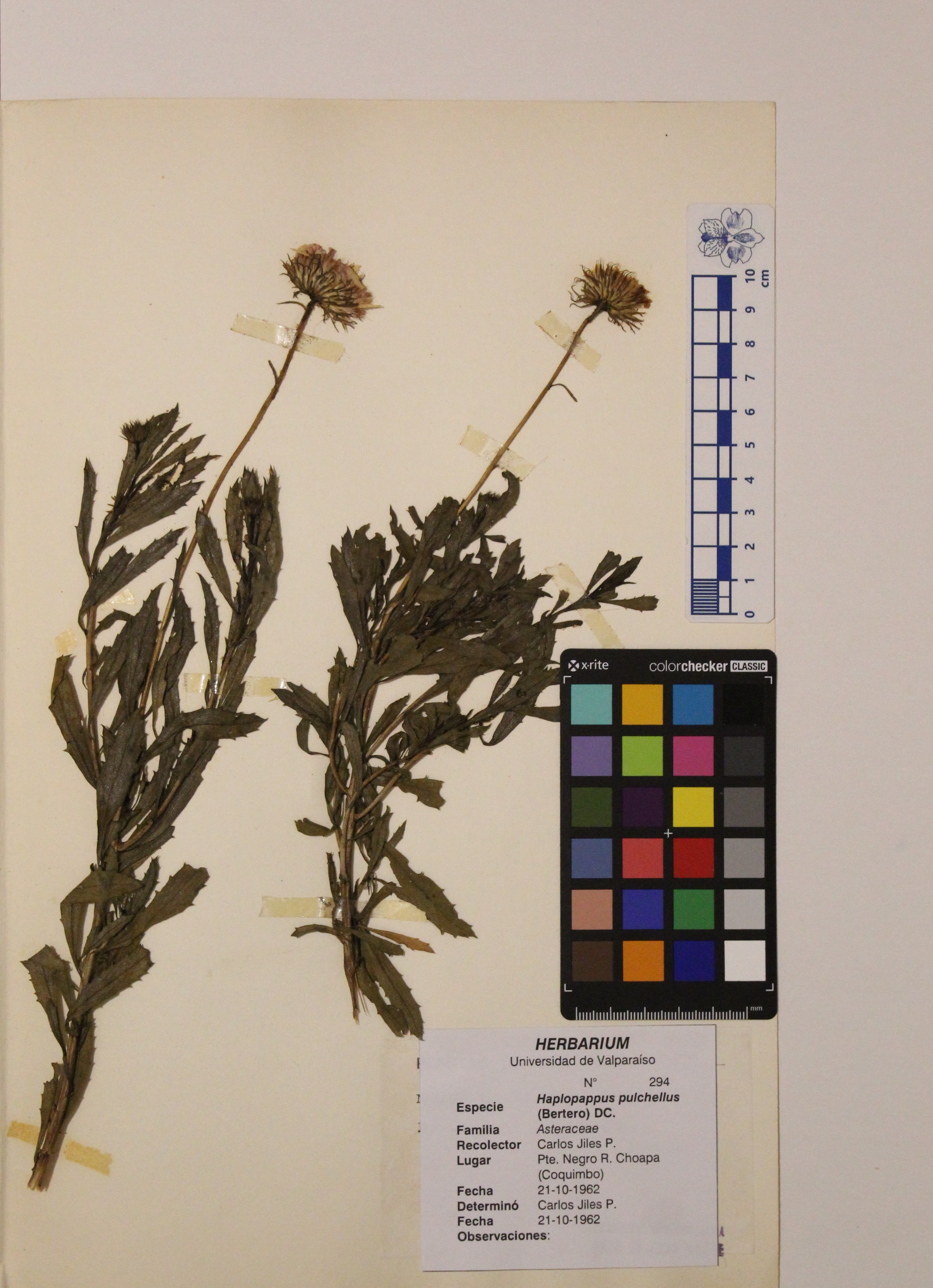 ANG-0294.jpg