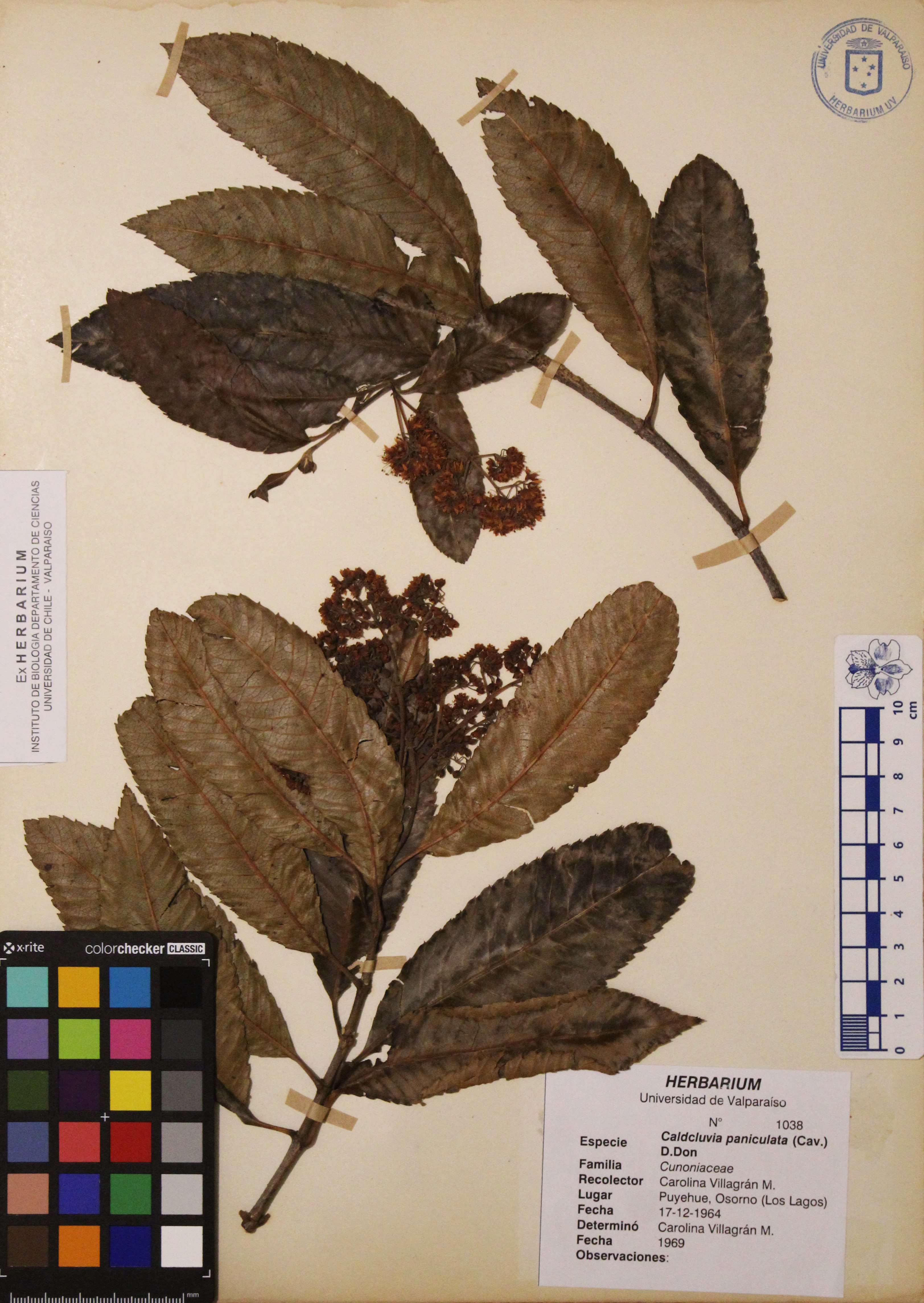 ANG-1038.jpg