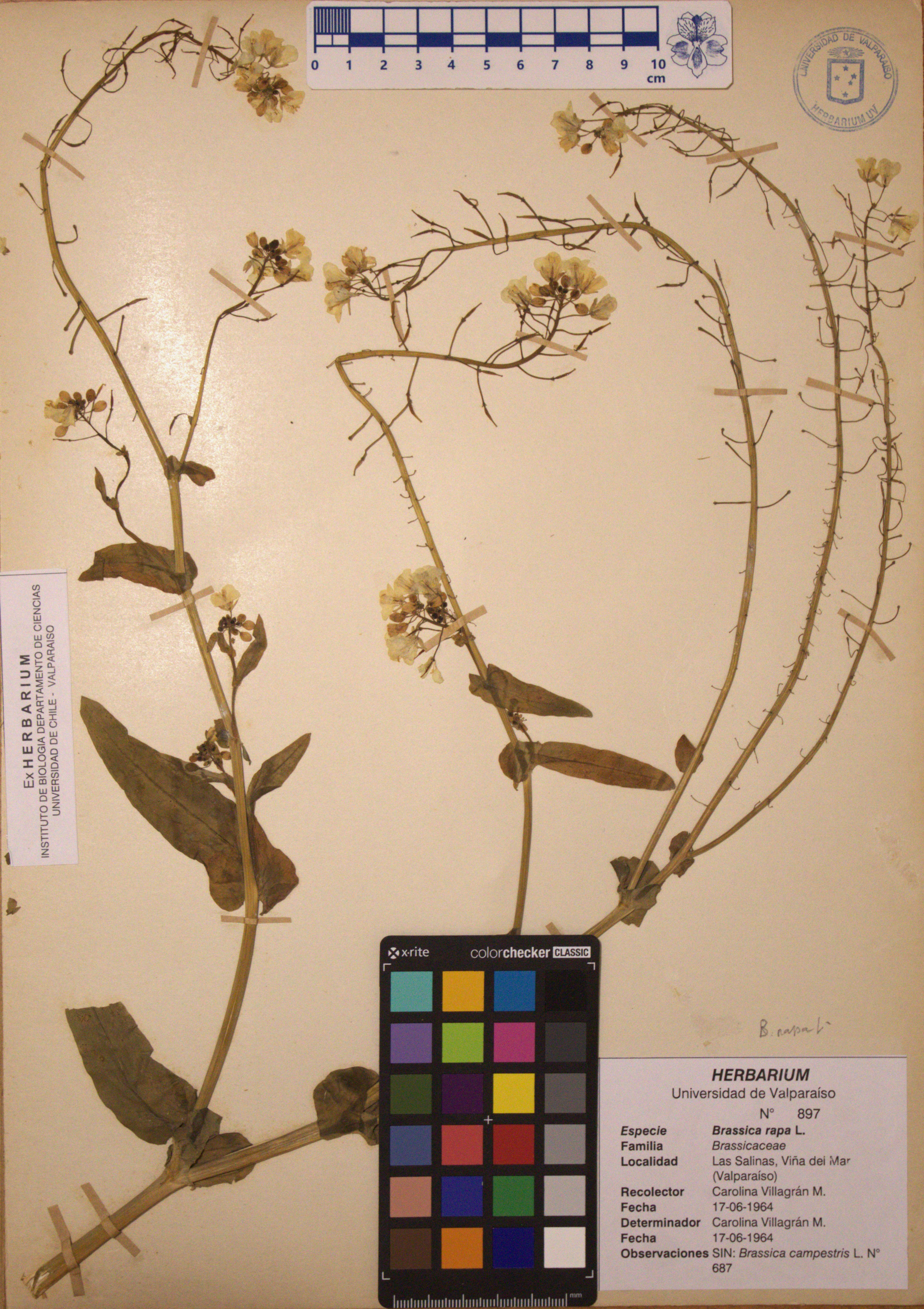 ANG-0897.jpg