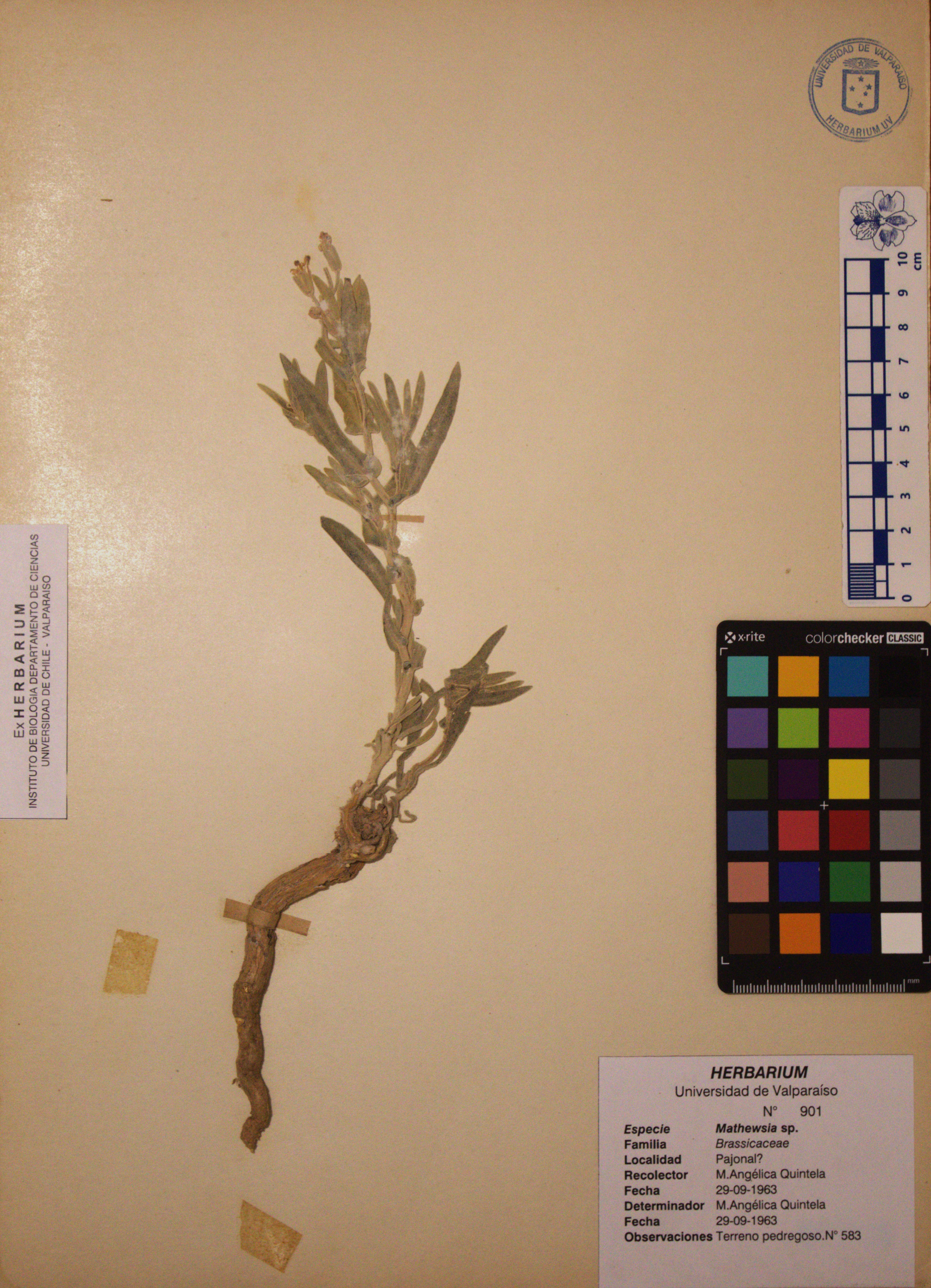 ANG-0901.jpg