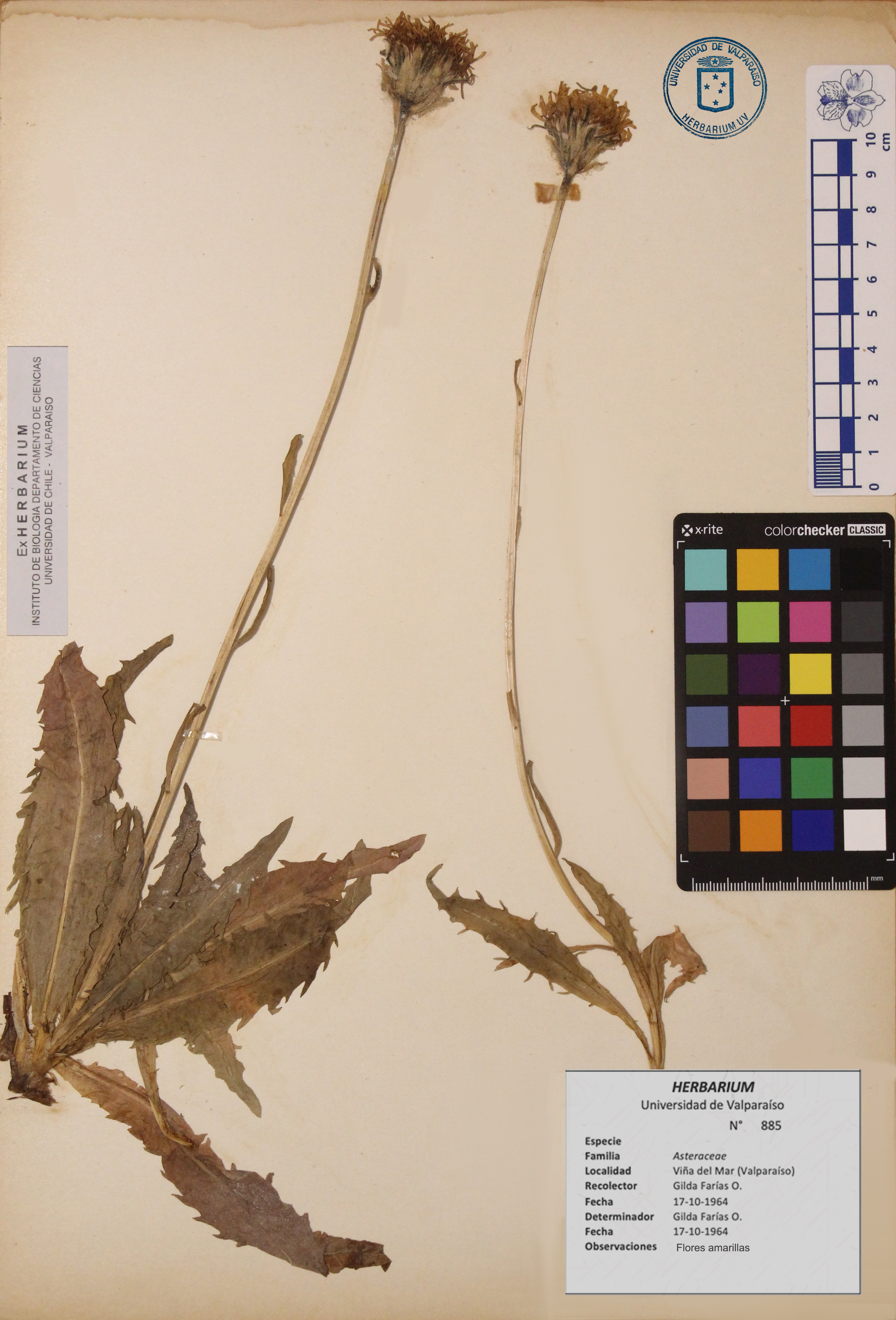 ANG-0885.jpg