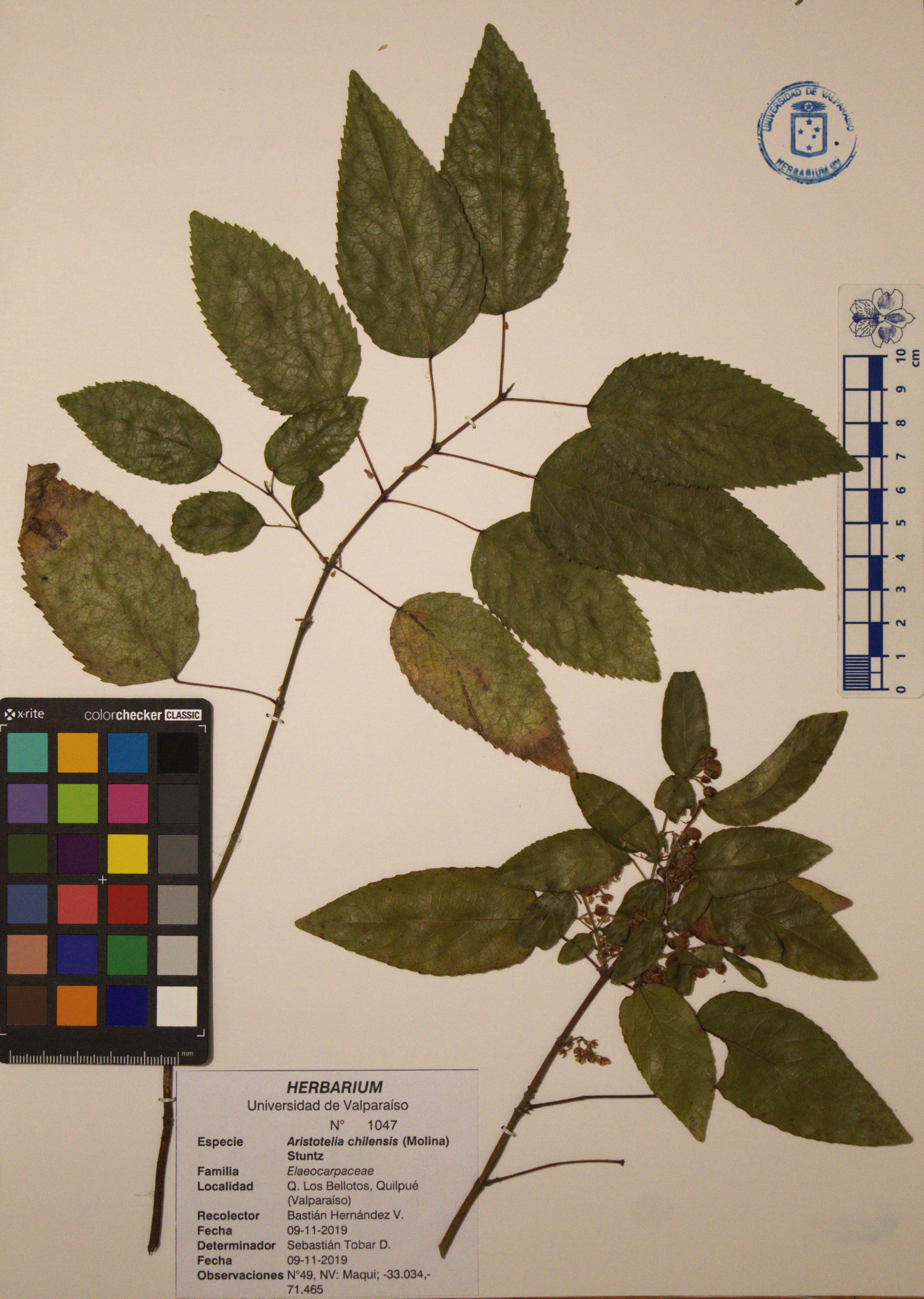 ANG-1047.jpg