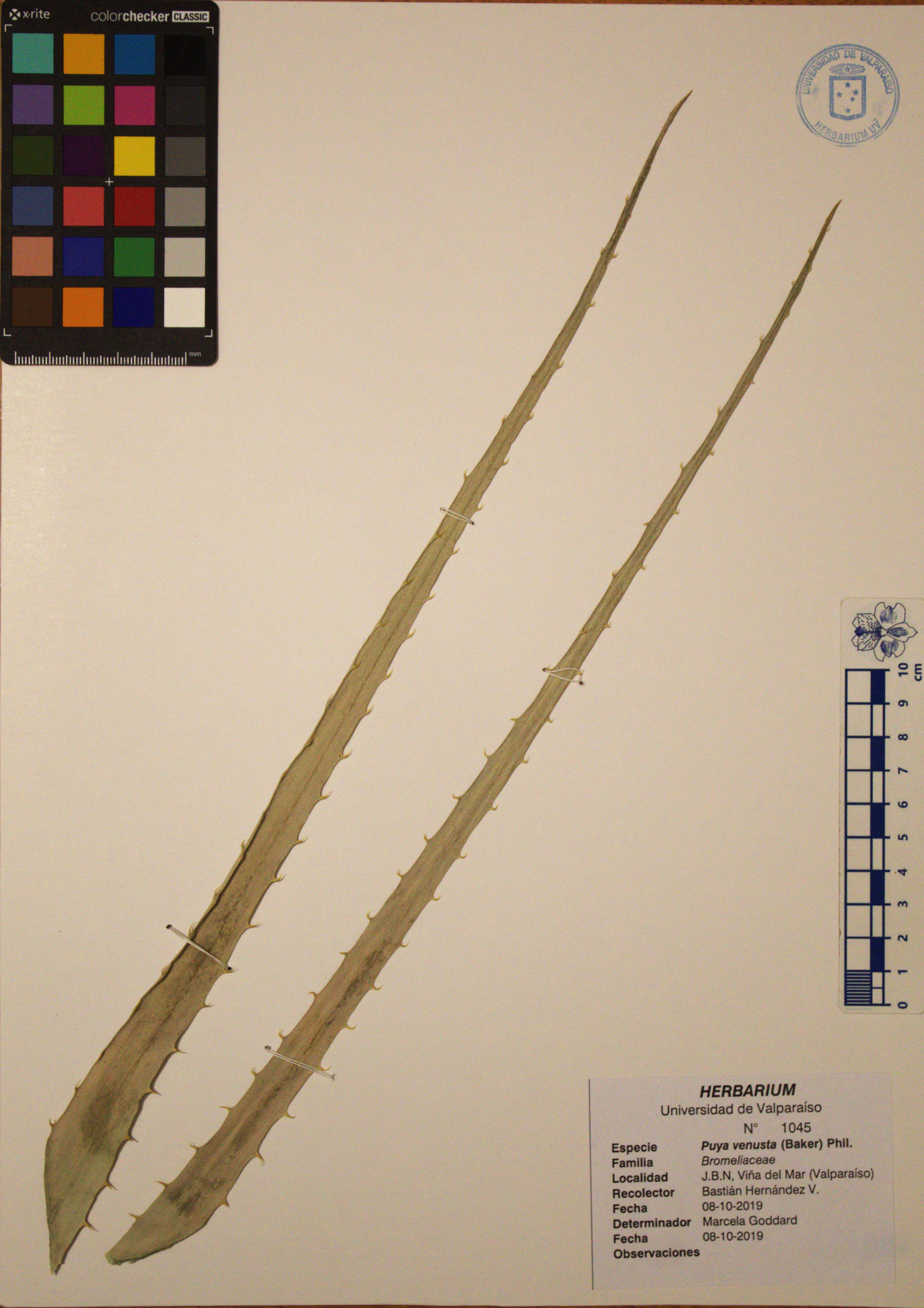 ANG-1045.jpg
