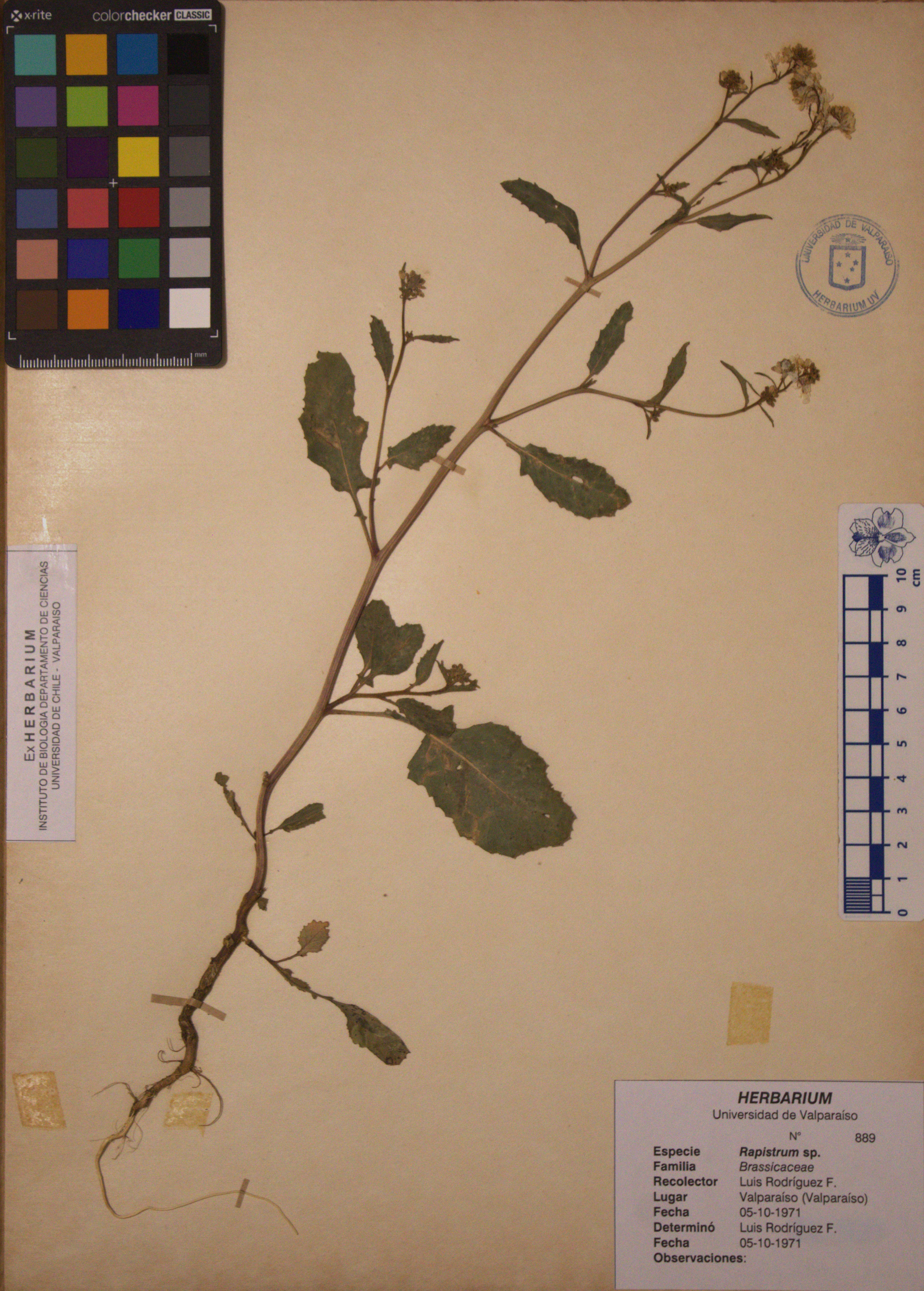 ANG-0889.jpg