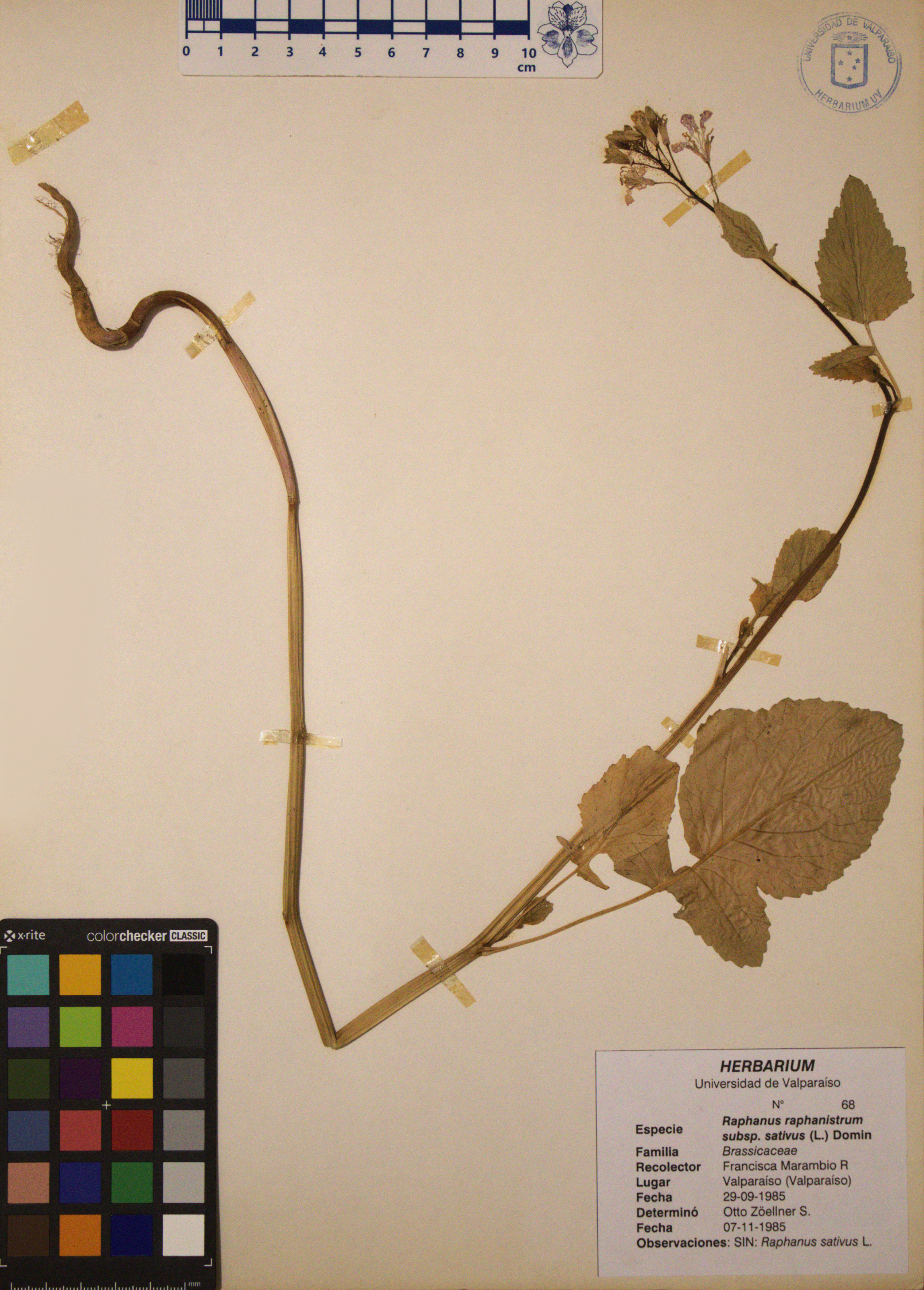 ANG-0068.jpg