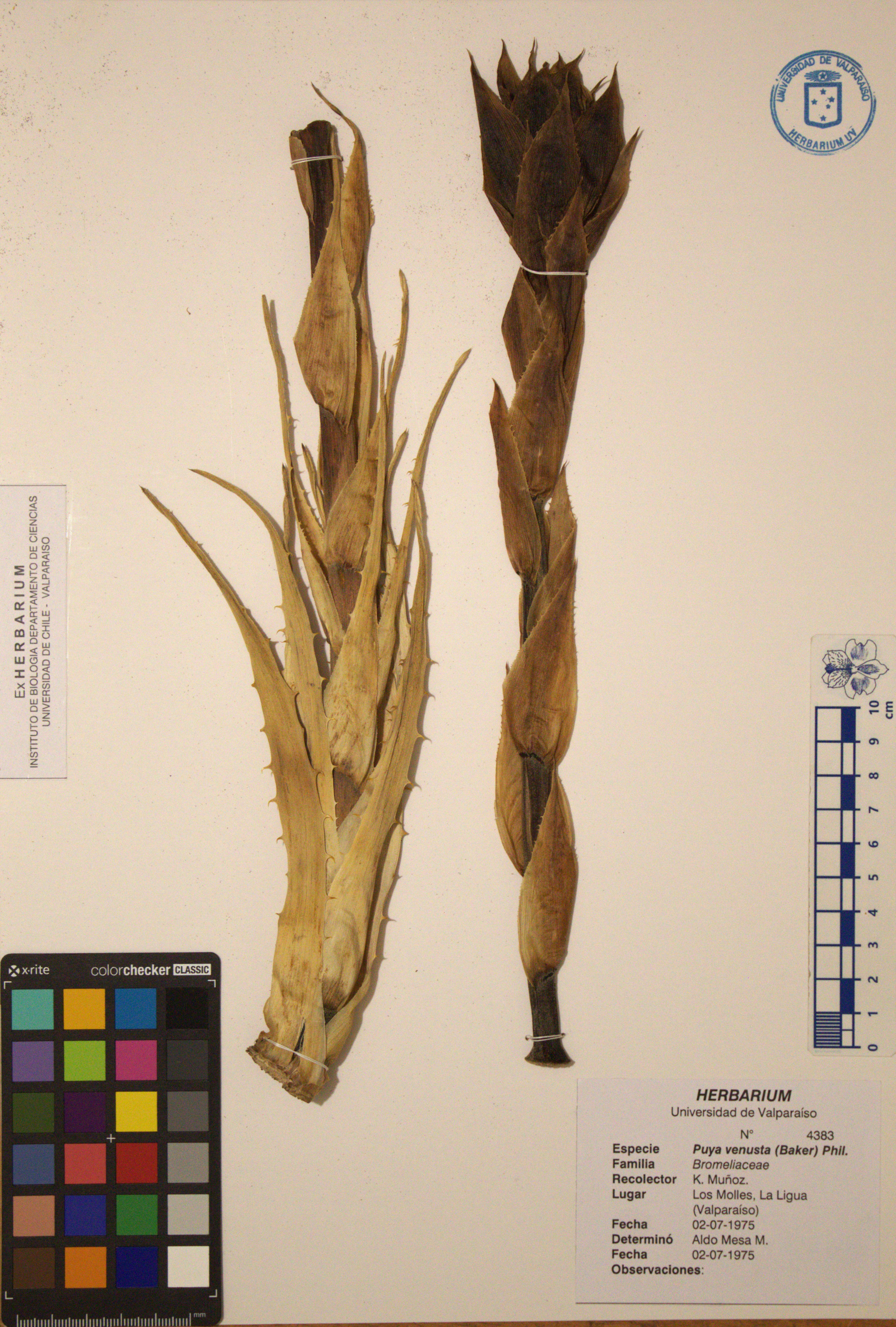 ANG-4383.jpg