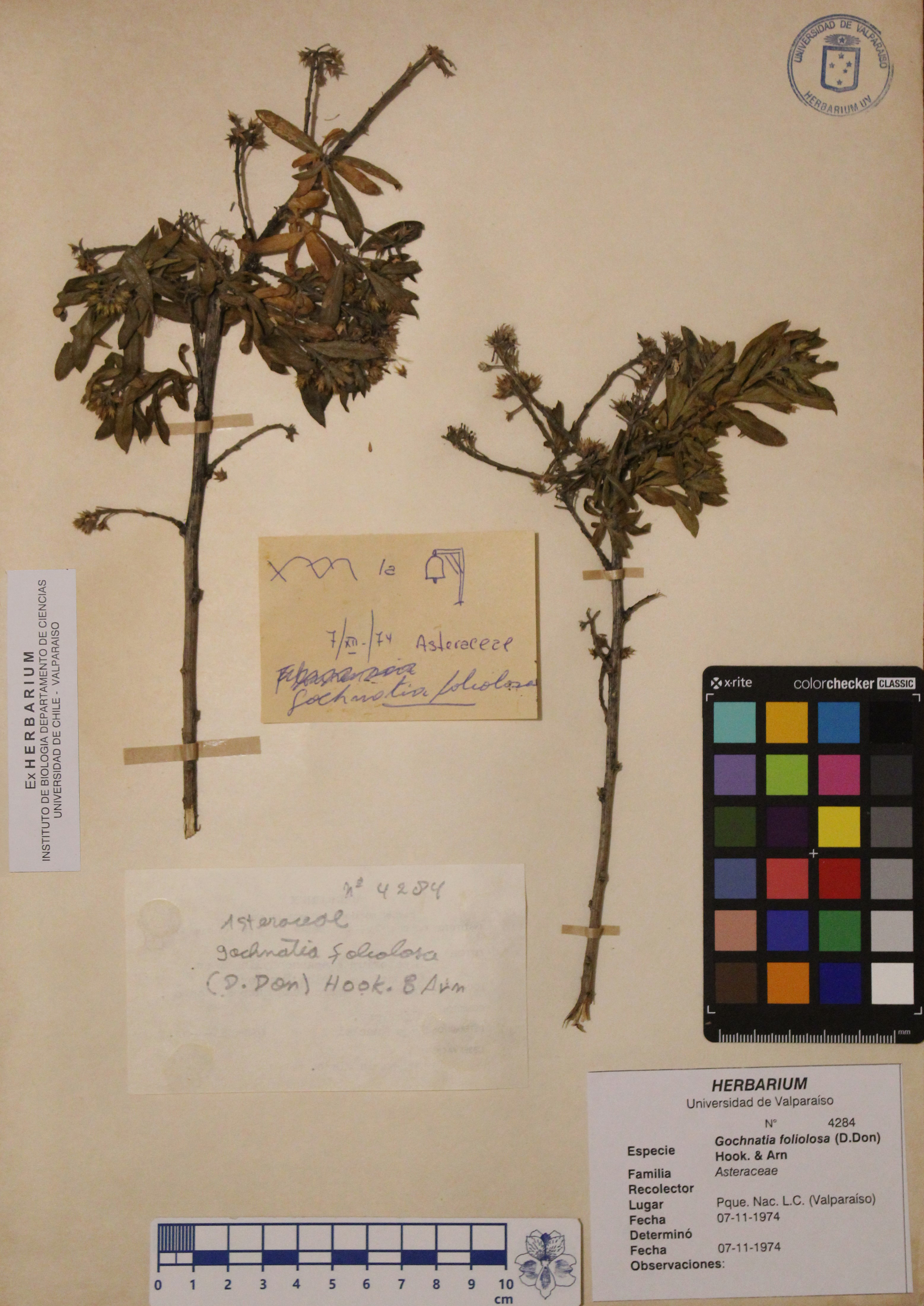 ANG-4284.jpg