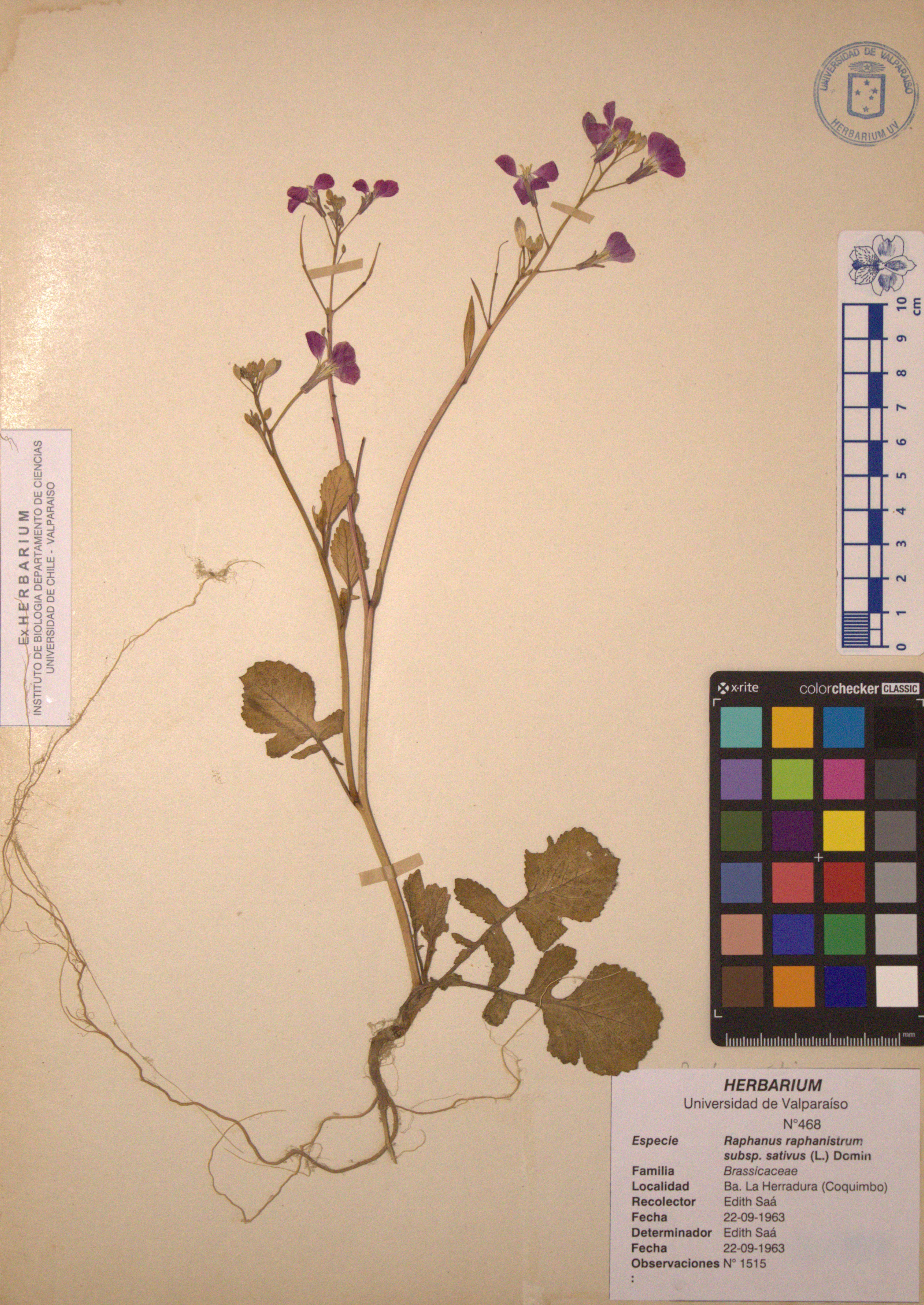 ANG-0468.jpg