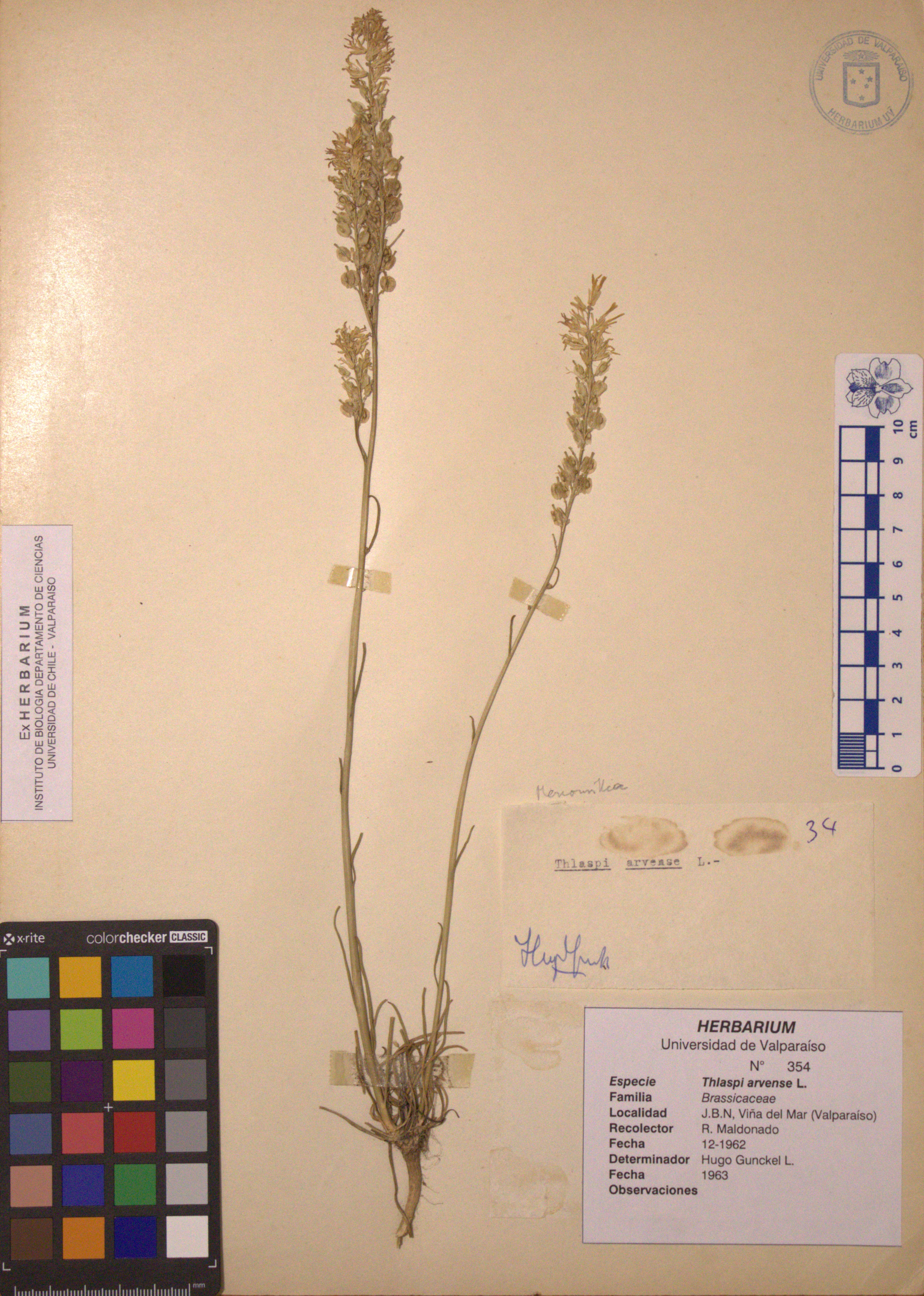 ANG-0354.jpg