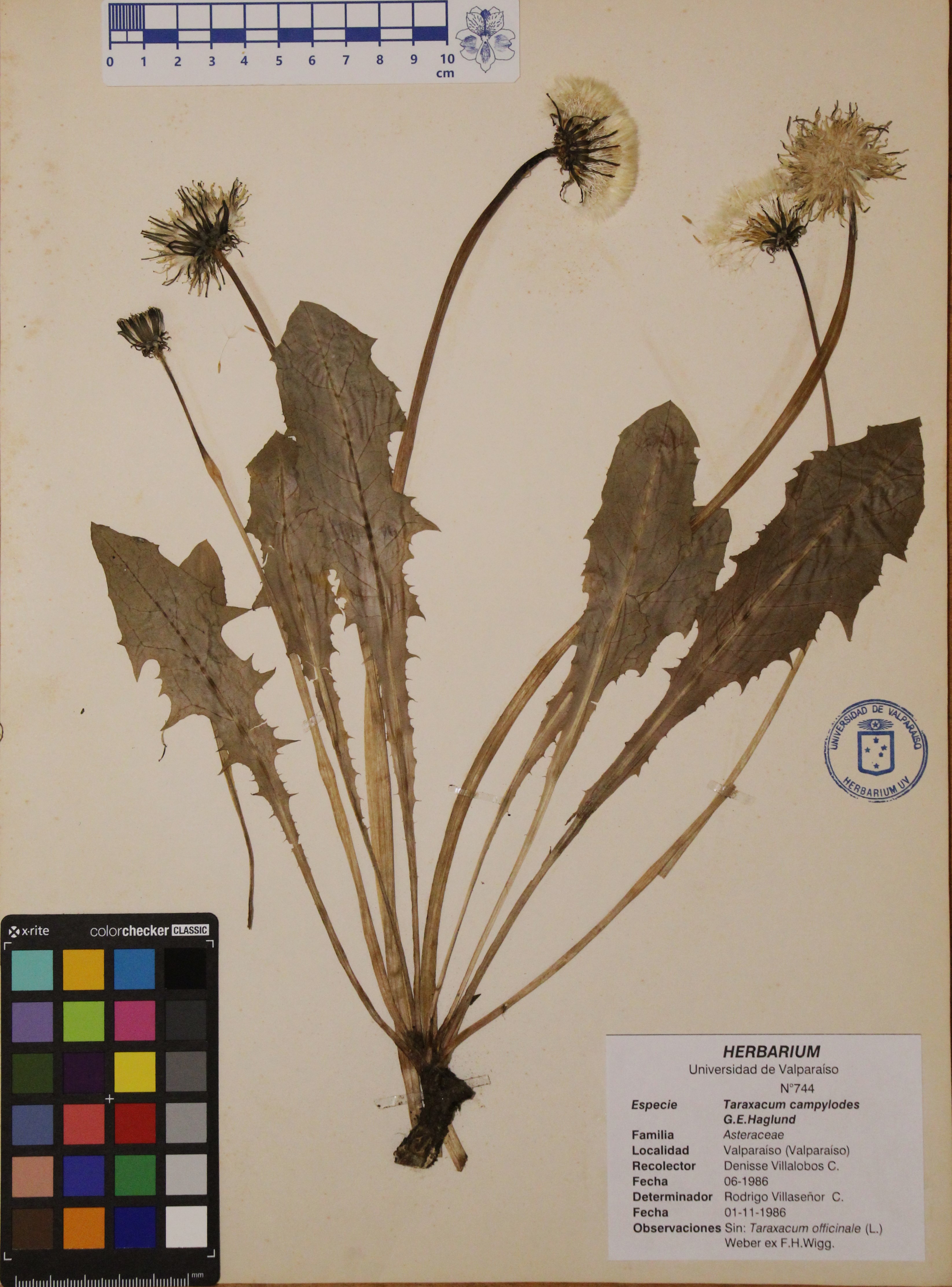 ANG-0744.jpg