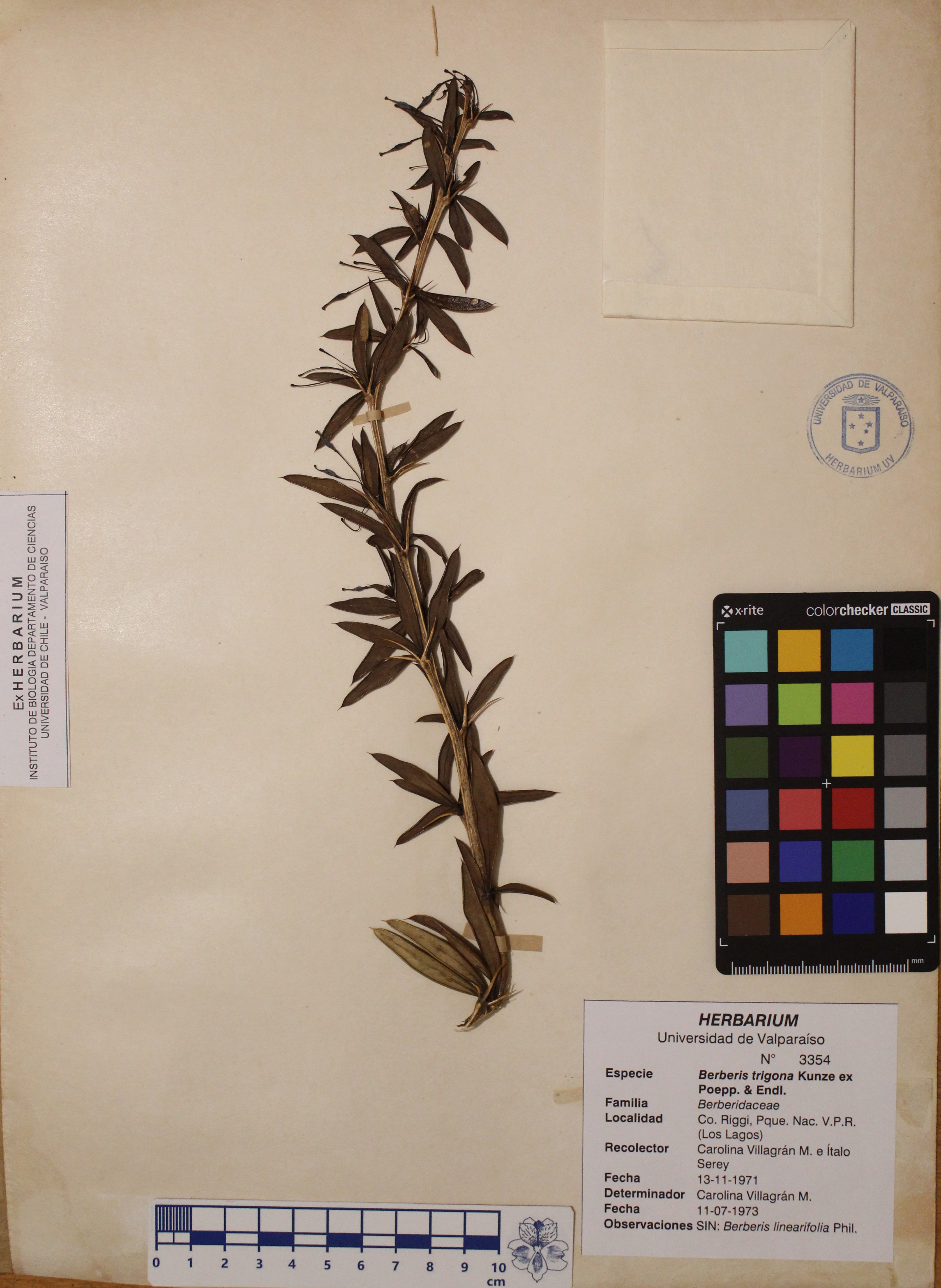ANG-3354.jpg