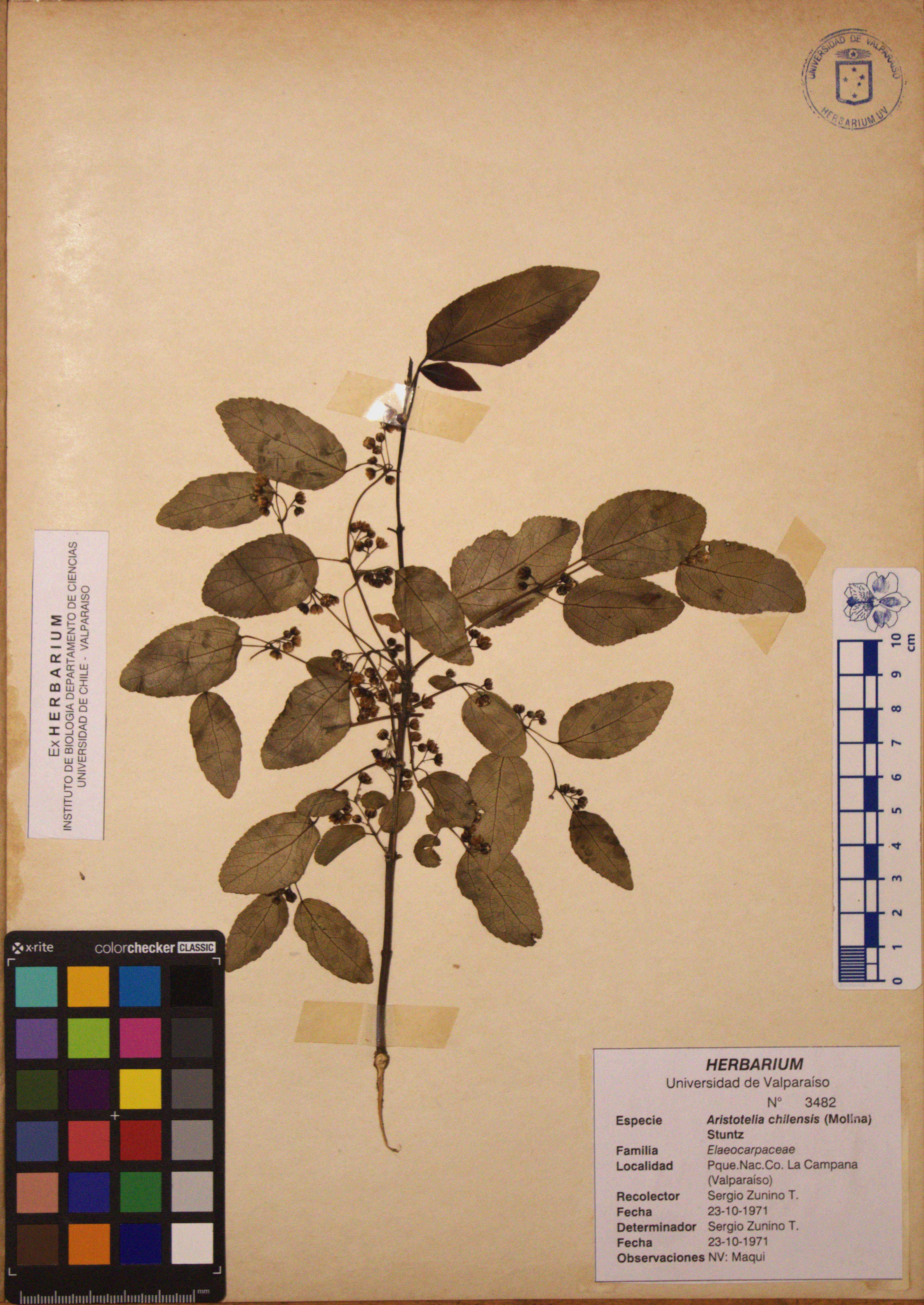 ANG-3482.jpg