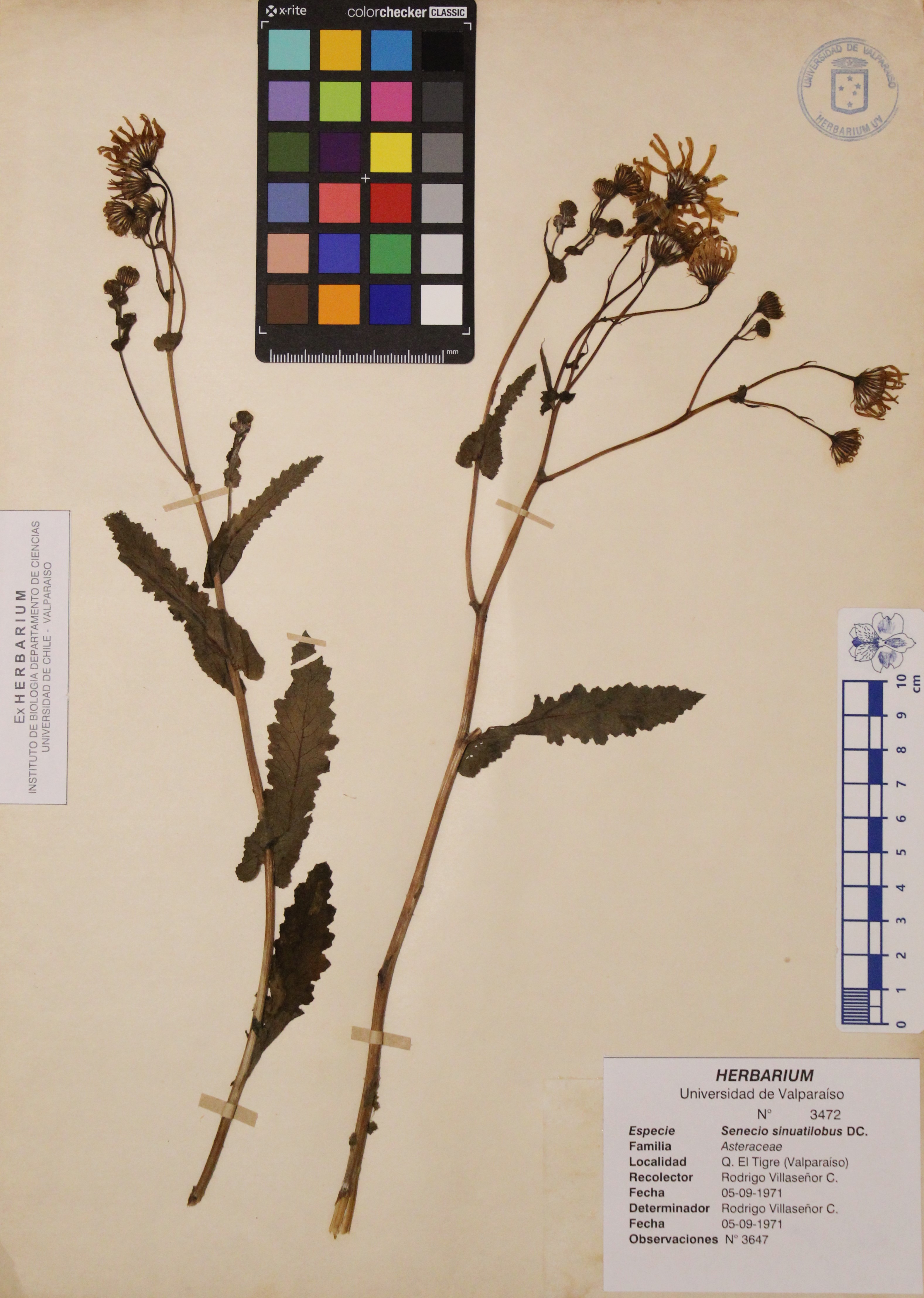 ANG-3472.jpg