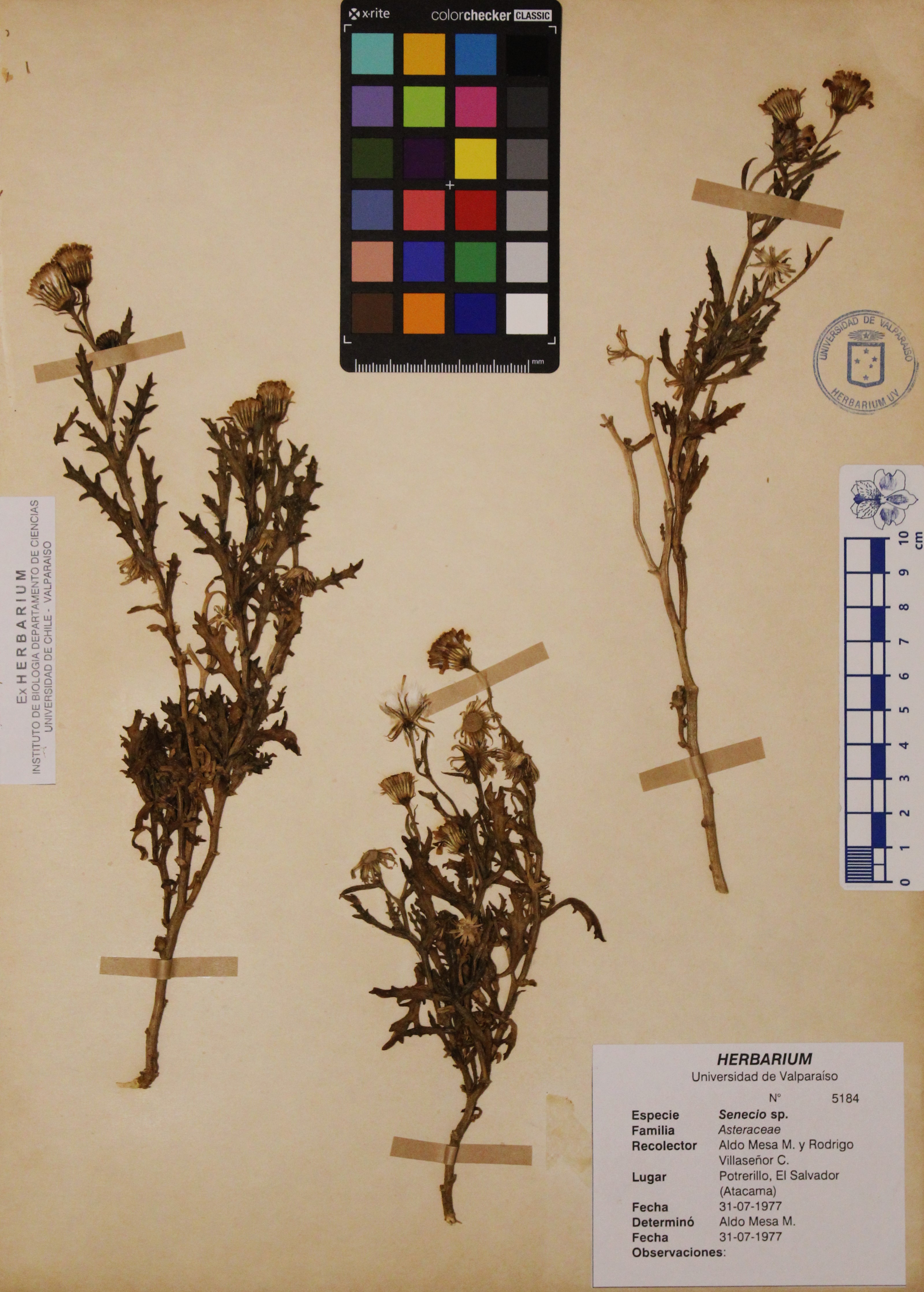 ANG-5184.jpg