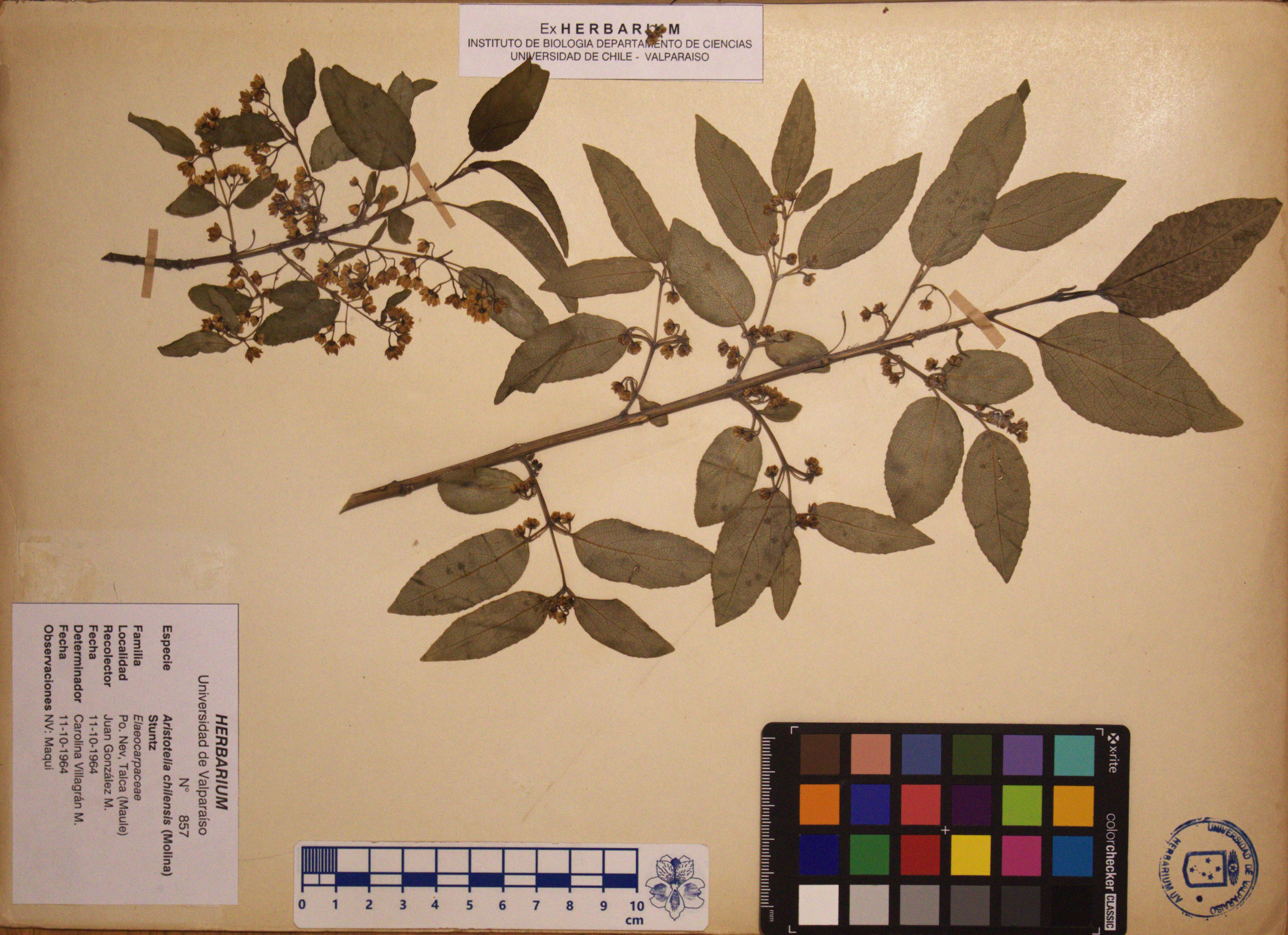 ANG-0857.jpg