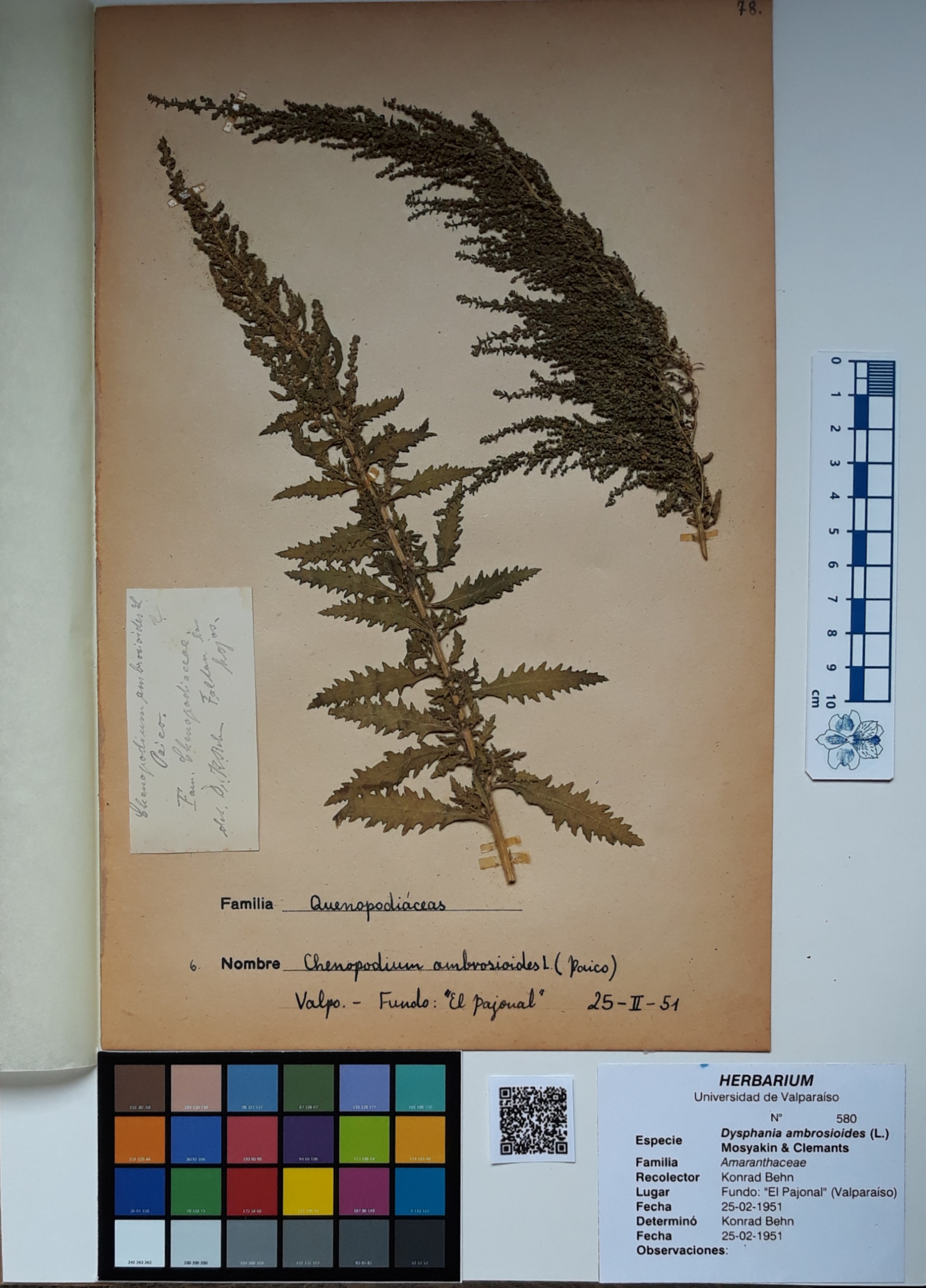 ANG-0580.jpg
