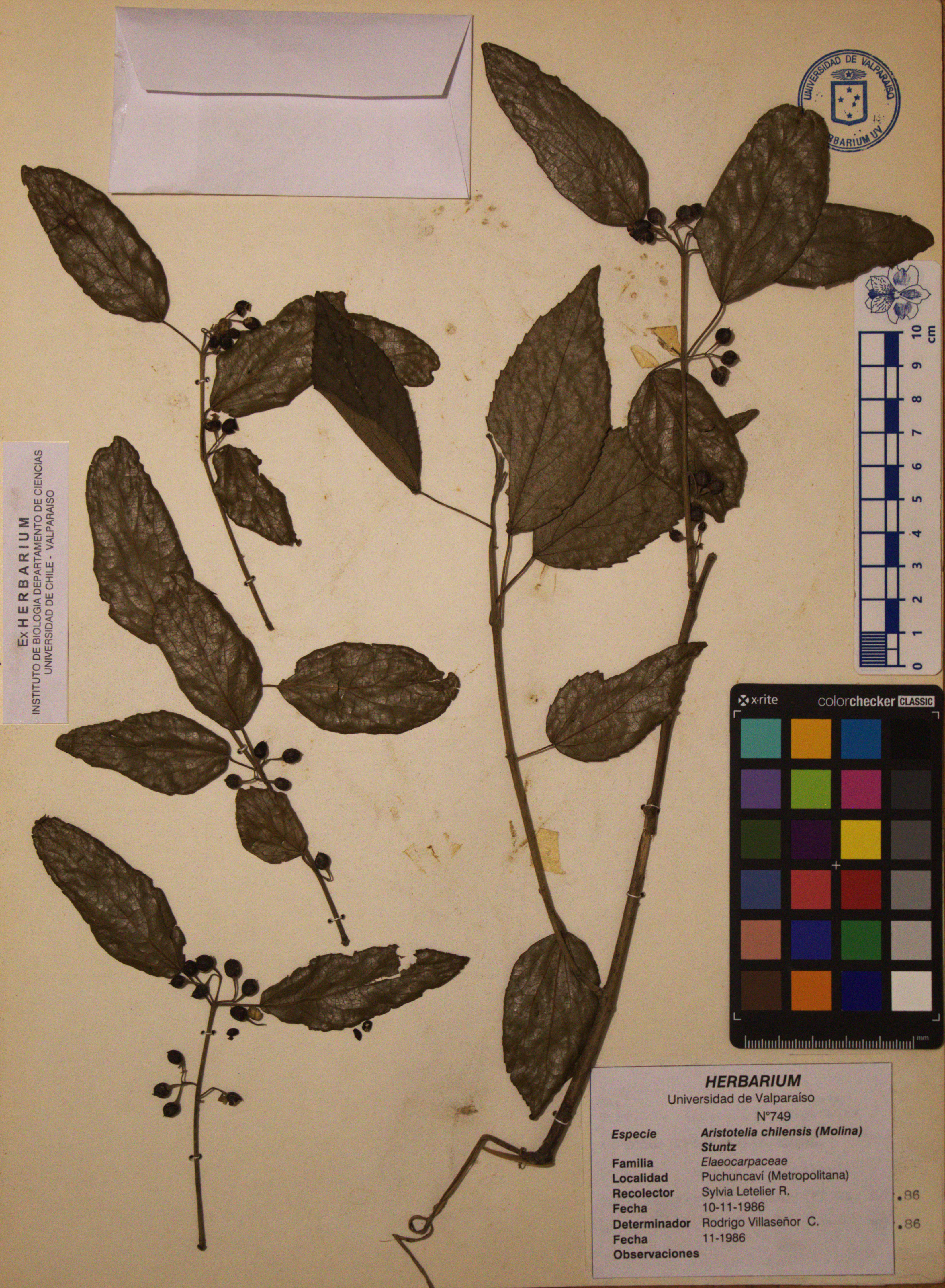 ANG-0749.jpg