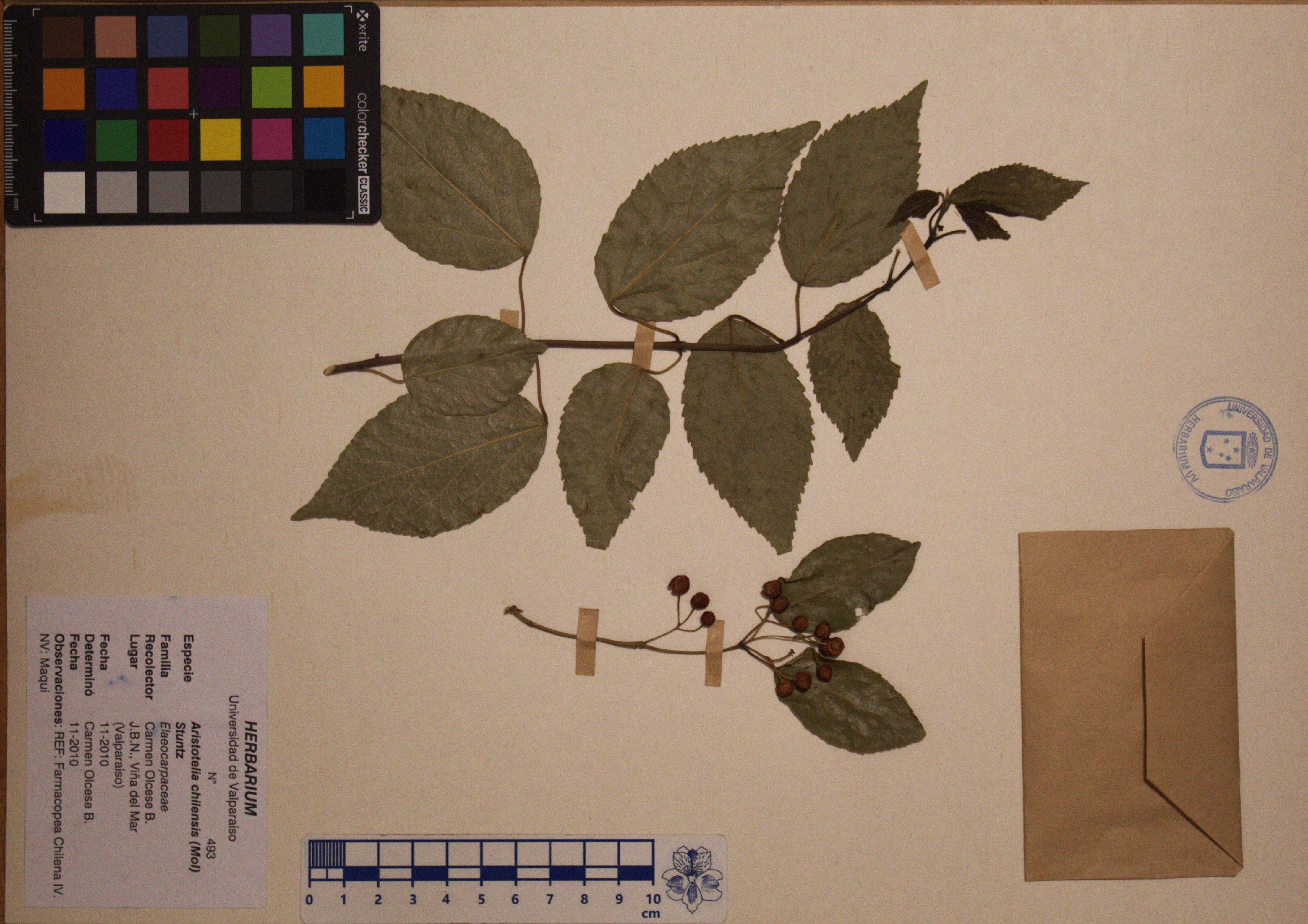 ANG-0493.jpg