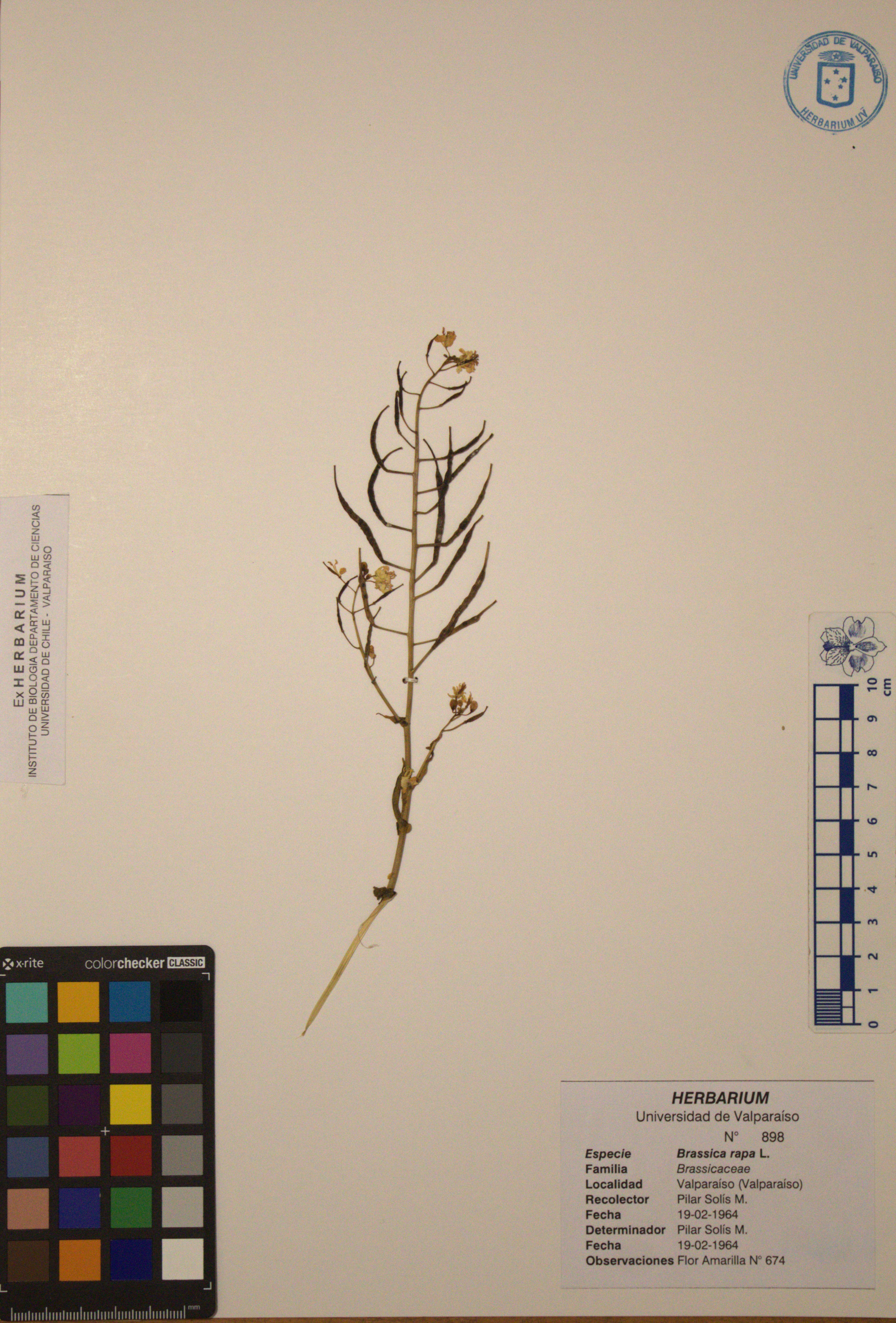 ANG-0898.jpg