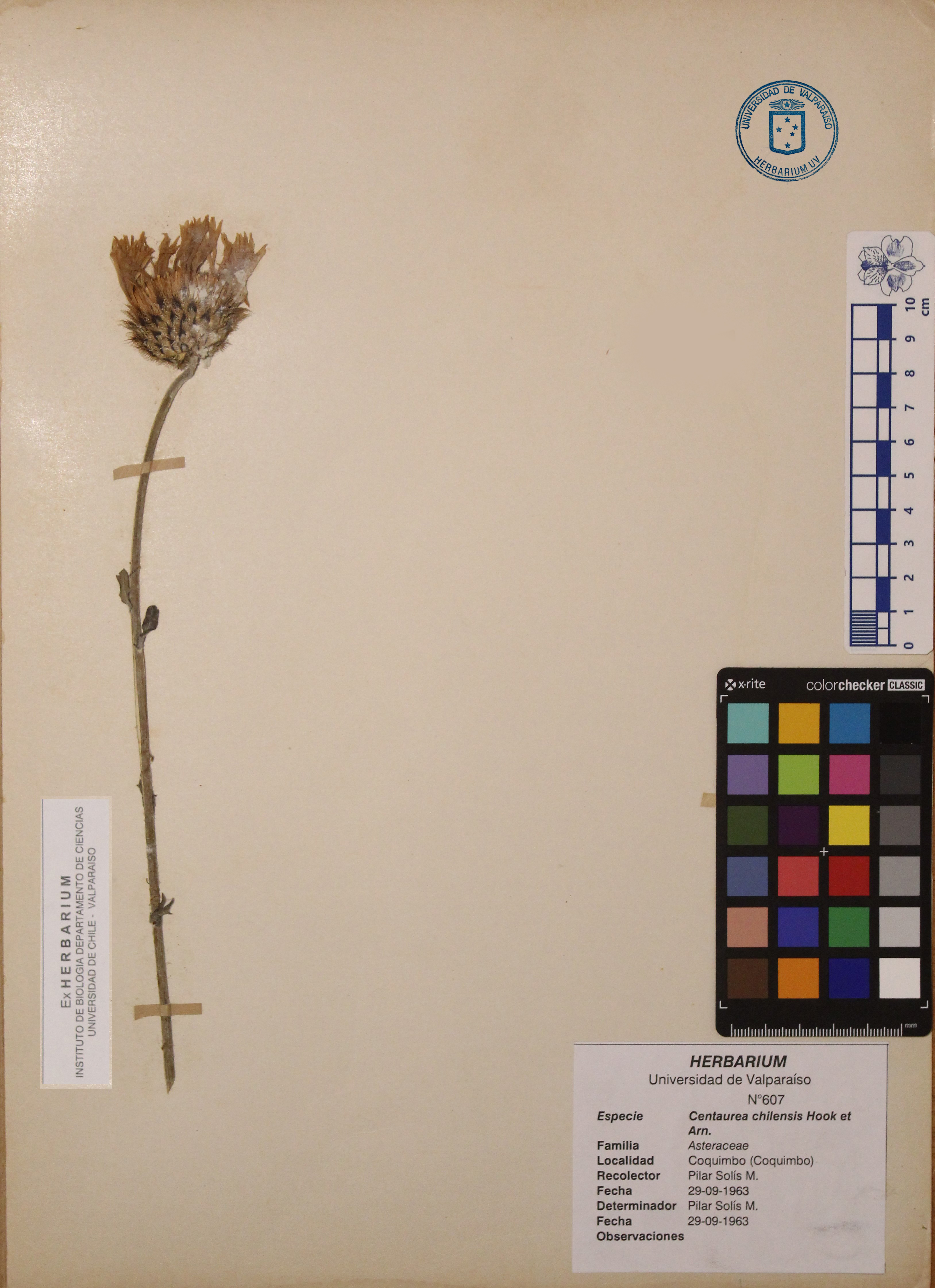 ANG-0607.jpg