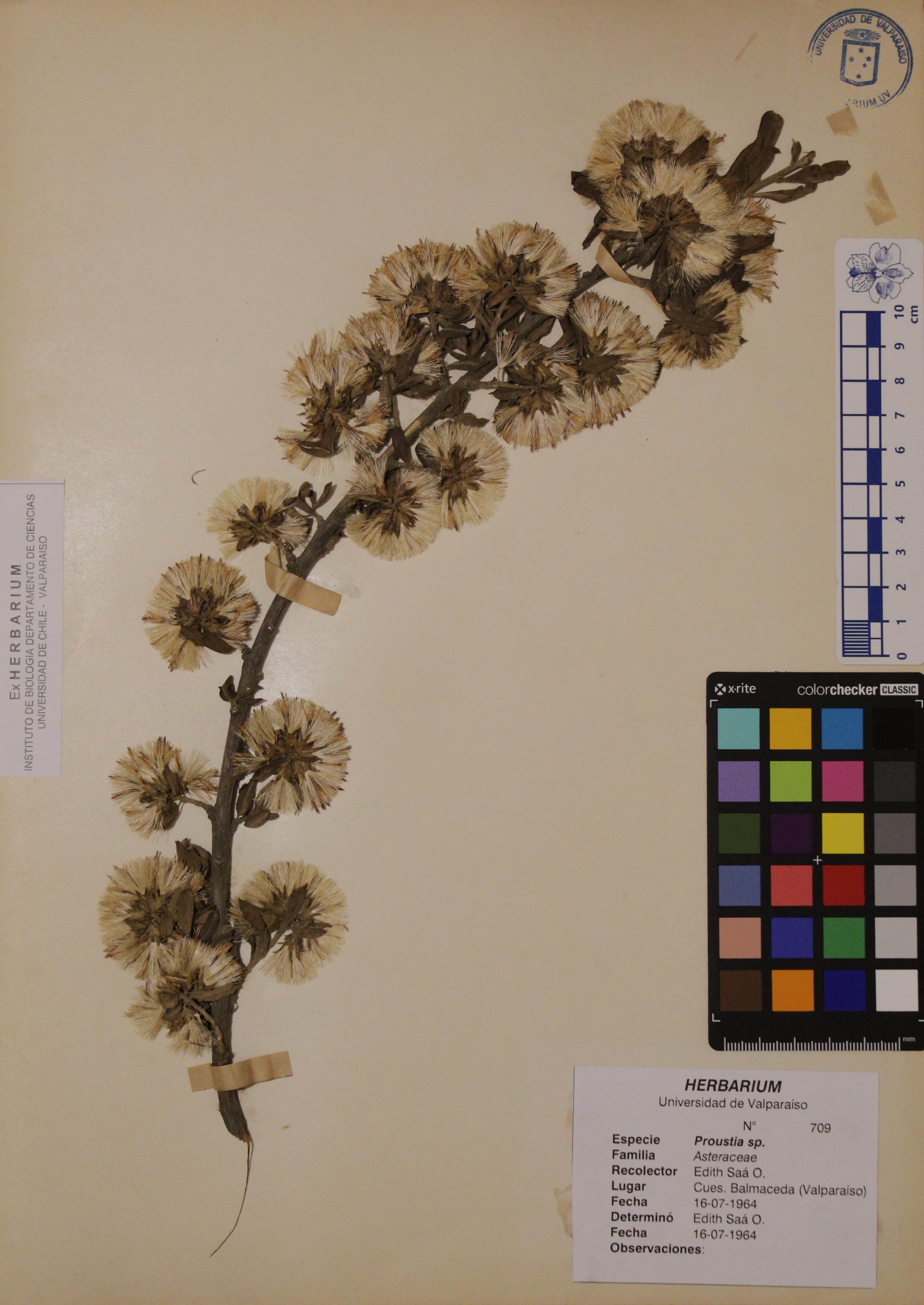 ANG-0709.jpg