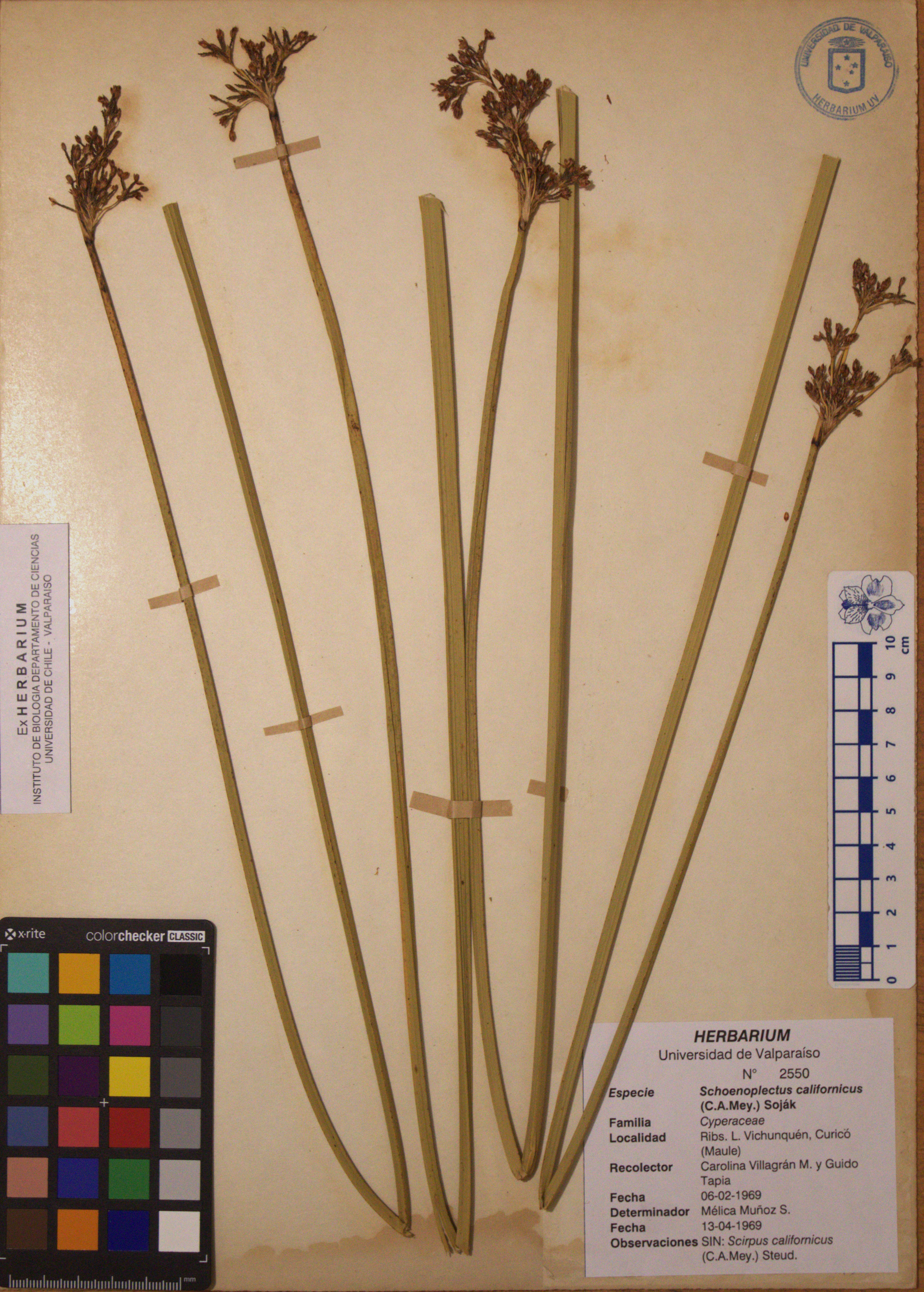 ANG-2550.jpg