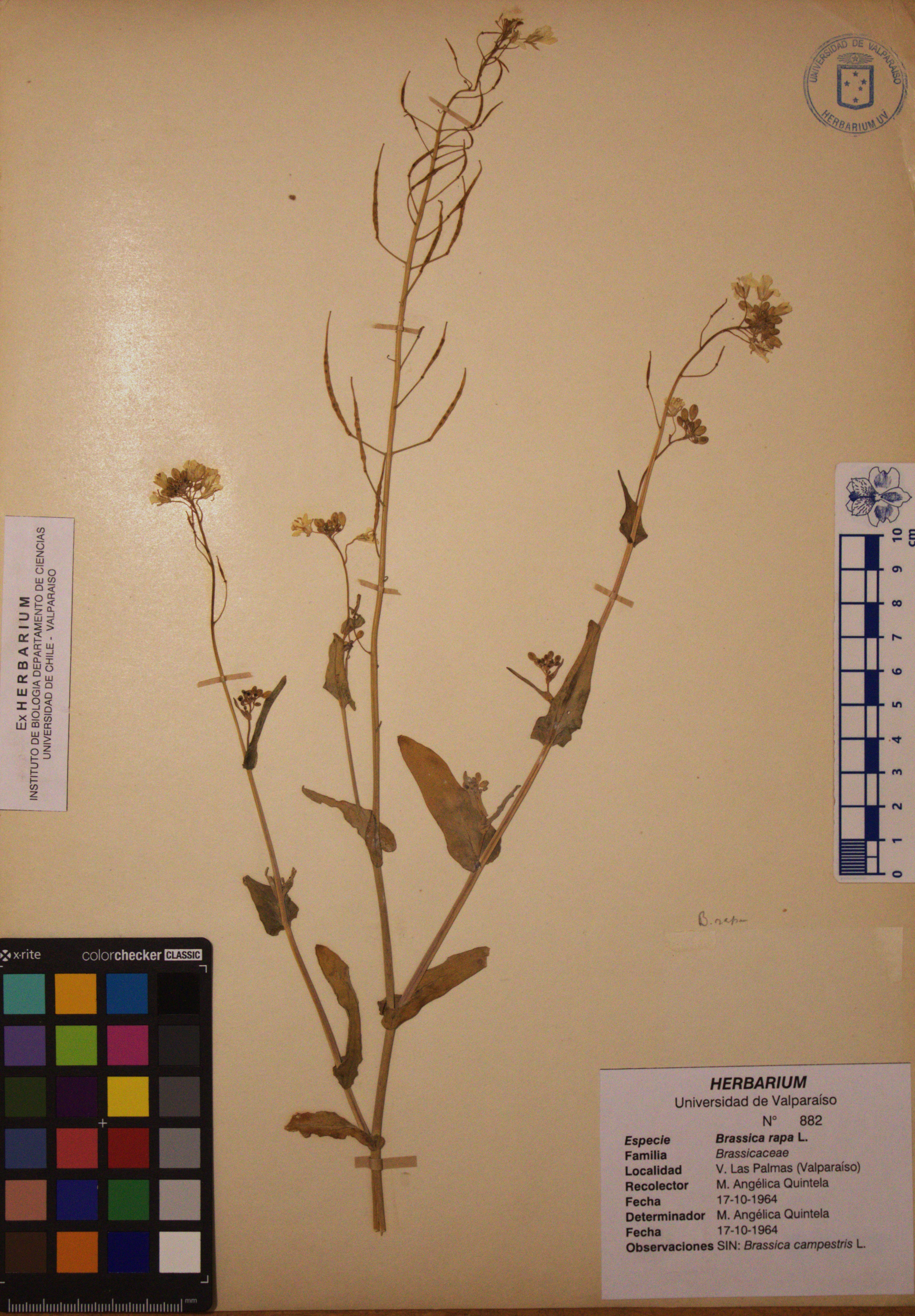 ANG-0882.jpg